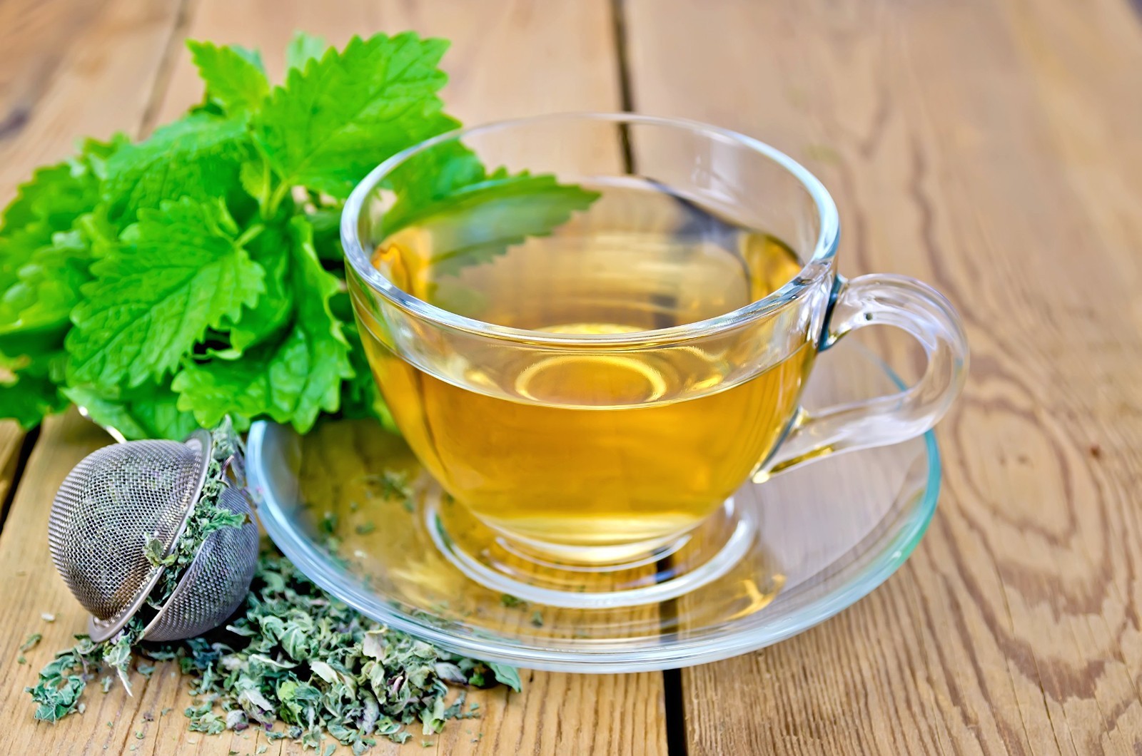 Lemon Balm (Herbal Tea): (Melissa Officinalis Caffeine 1 Pound (Pack of 1)