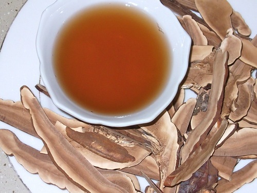 Reishi Mushroom 靈芝(영지버섯) – Ganoderma lucidum Slices, Japan imported