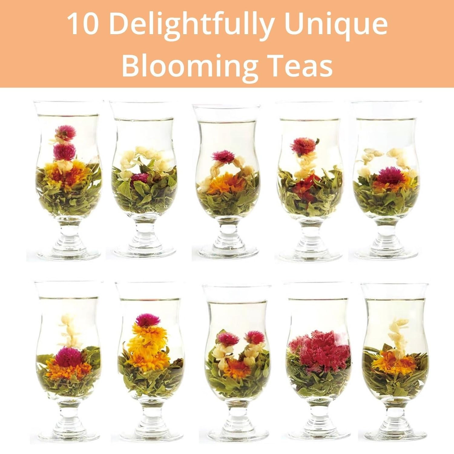 Blooming Tea Gift Set, 10 Unique Varieties Flowering Tea Balls, Individual Pack