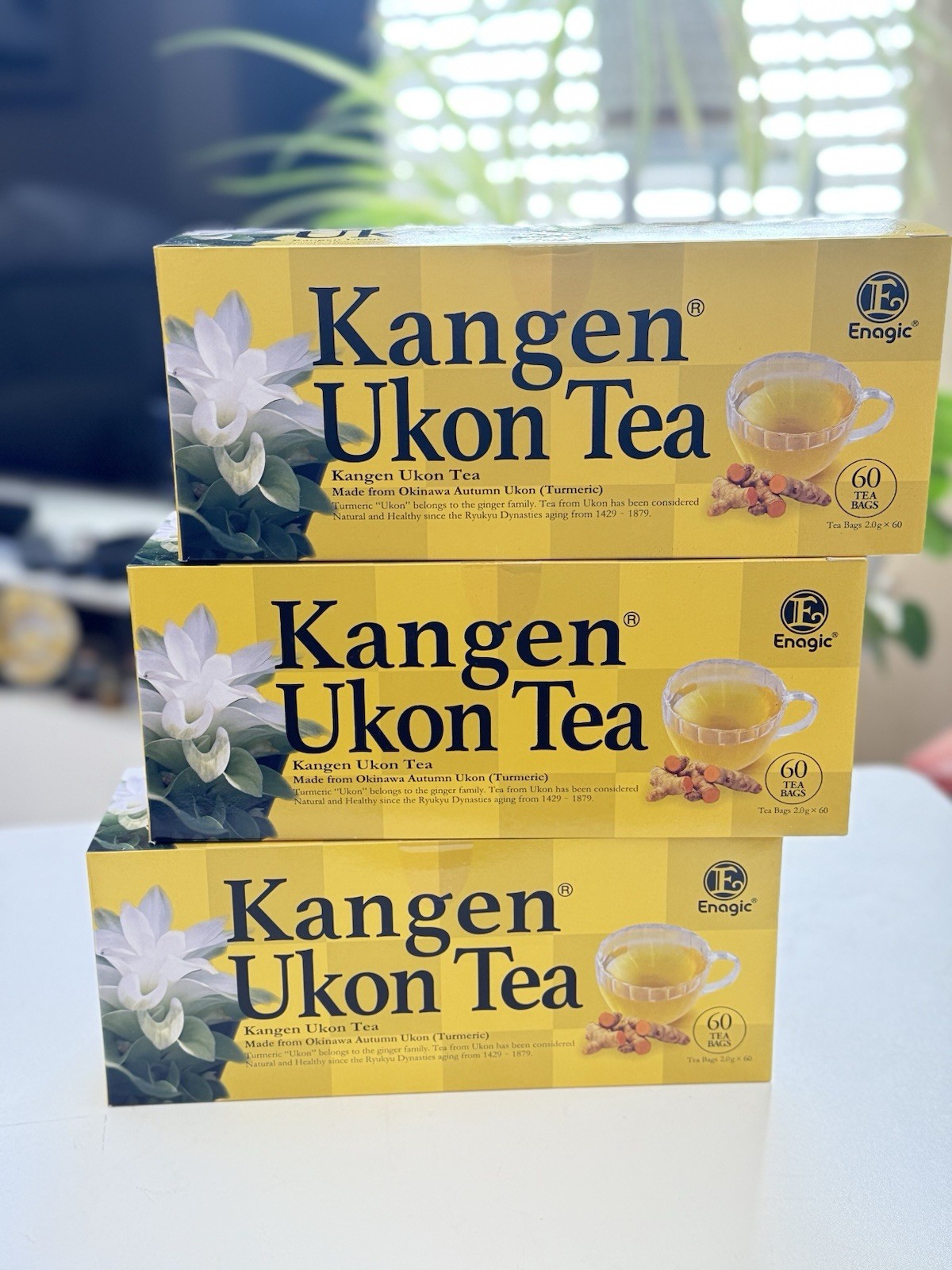Kangen Ukon Turmeric Tea 60 Bags 100% Organic by Enagic Sealed