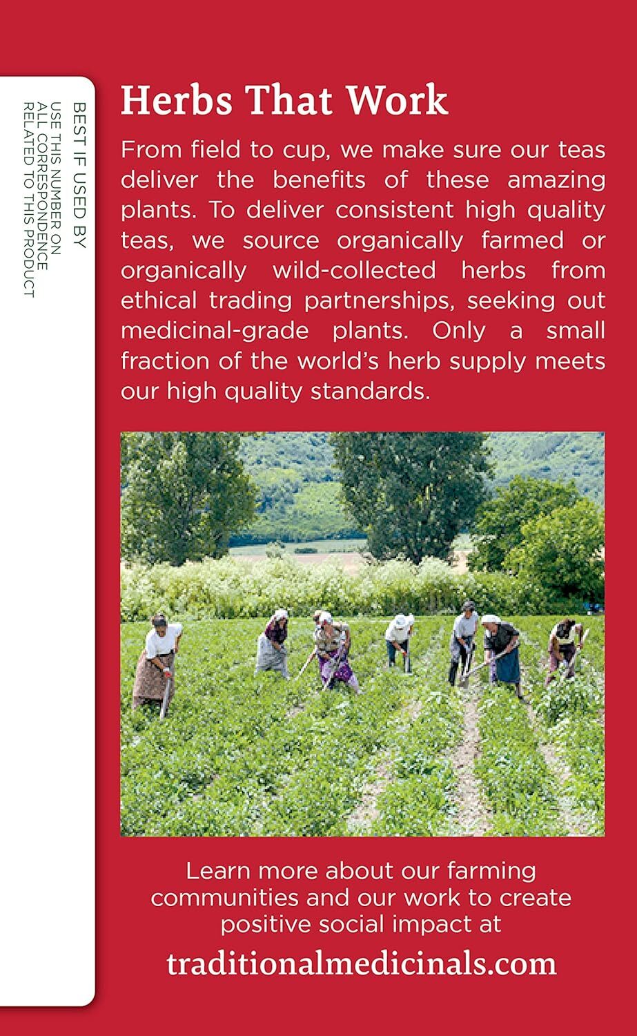, Seasonal Wellness, Organic, Echinacea Plus, Elderberry,