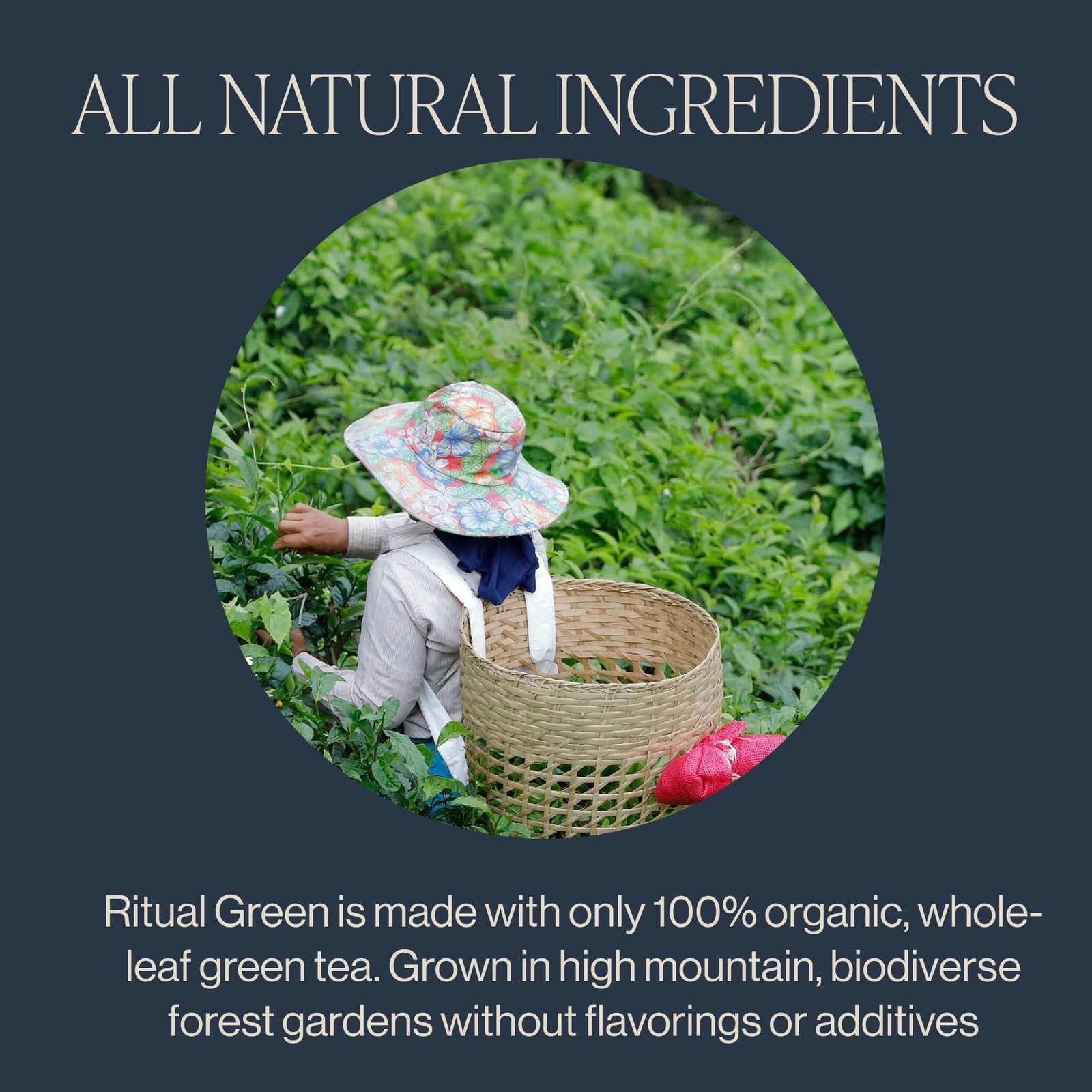Ritual Green Tea – Organic Sachet Bags, Pure Green Tea, Energizing & Caffeina…