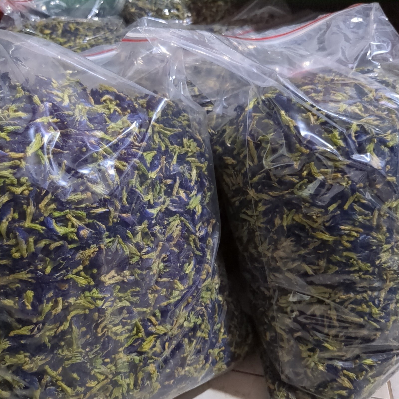 Butterfly Pea Organic Blue Flower Natural Herbal Drink Premium CLITORIA TERNATEN