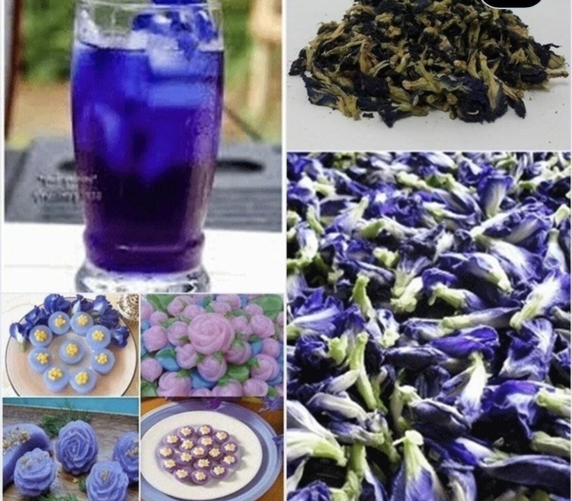 Butterfly Pea Flower Tea 100g – Ideal for 500 cups or more, Premium Dried Flower