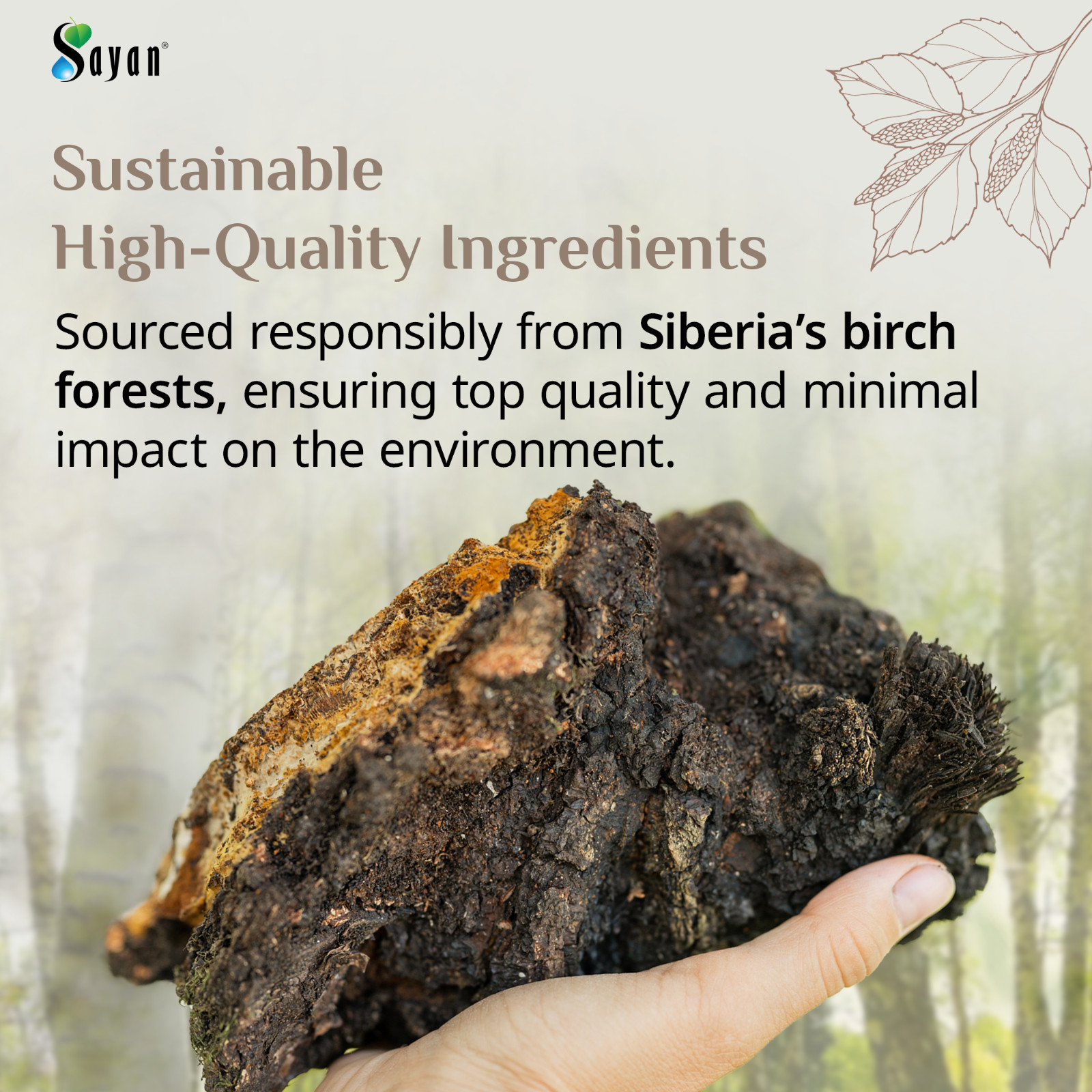 Sayan Chaga Mushroom Tea 20 Bags Caffeine Free Siberian Wild Harvested