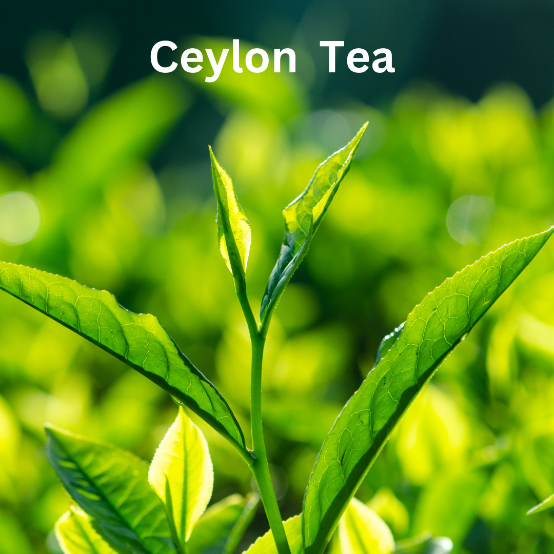 Premium Ceylon Tea OP grade |100% Pure Natural Loose Leaf Tea |Best Quality