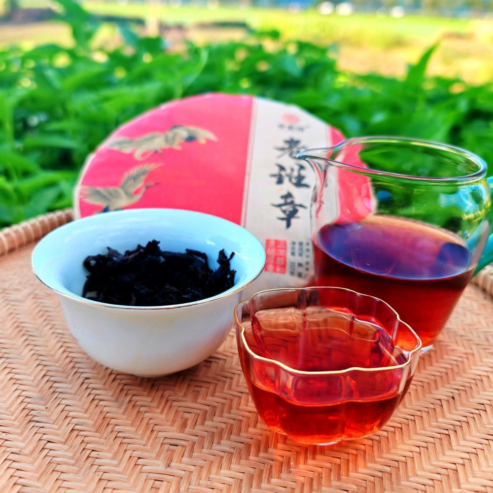 Pu-erh Puer Puerh Tea 357g 2003 Yunnan Menghai Banzhang Ancient Tree Ripe Cake