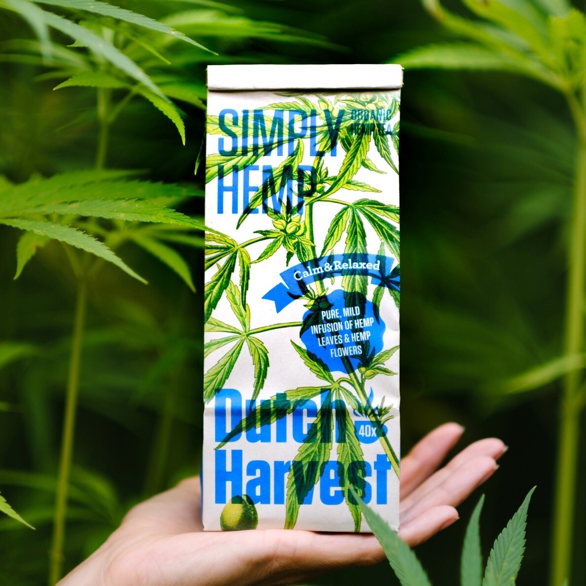 Dutch Harvest – Simply Hemp – Pure hemp tea for ultimate relaxation – Organic 