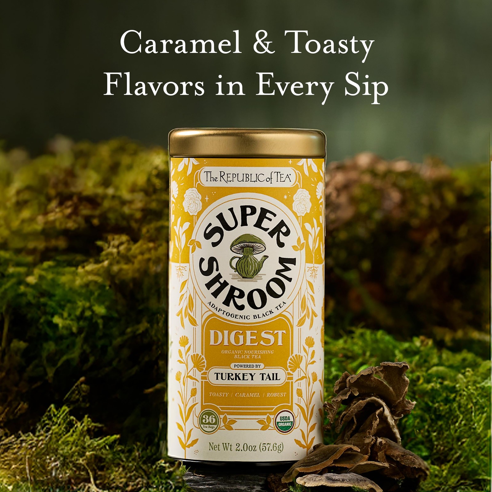 SuperShroom Digest Turkey Tail Black Tea, Organic Chicory and Caramel Notes, …