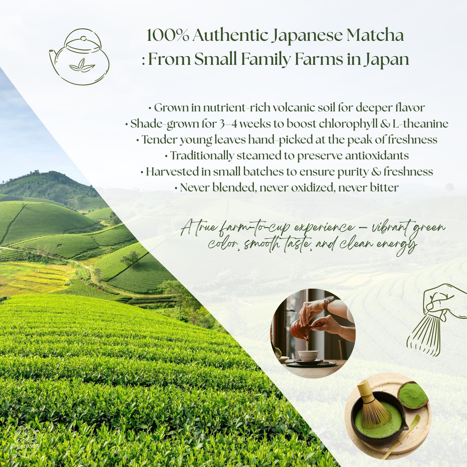 Culinary Premium Grade Matcha Powder – 100% Japanese Matcha, Green Tea Powder…