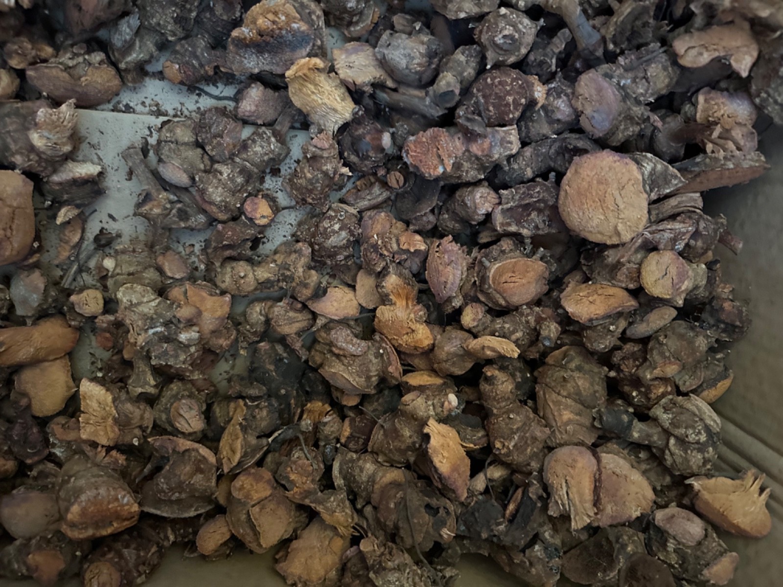Jamaican wildcrafted Chaney root 1 pound or 16oz