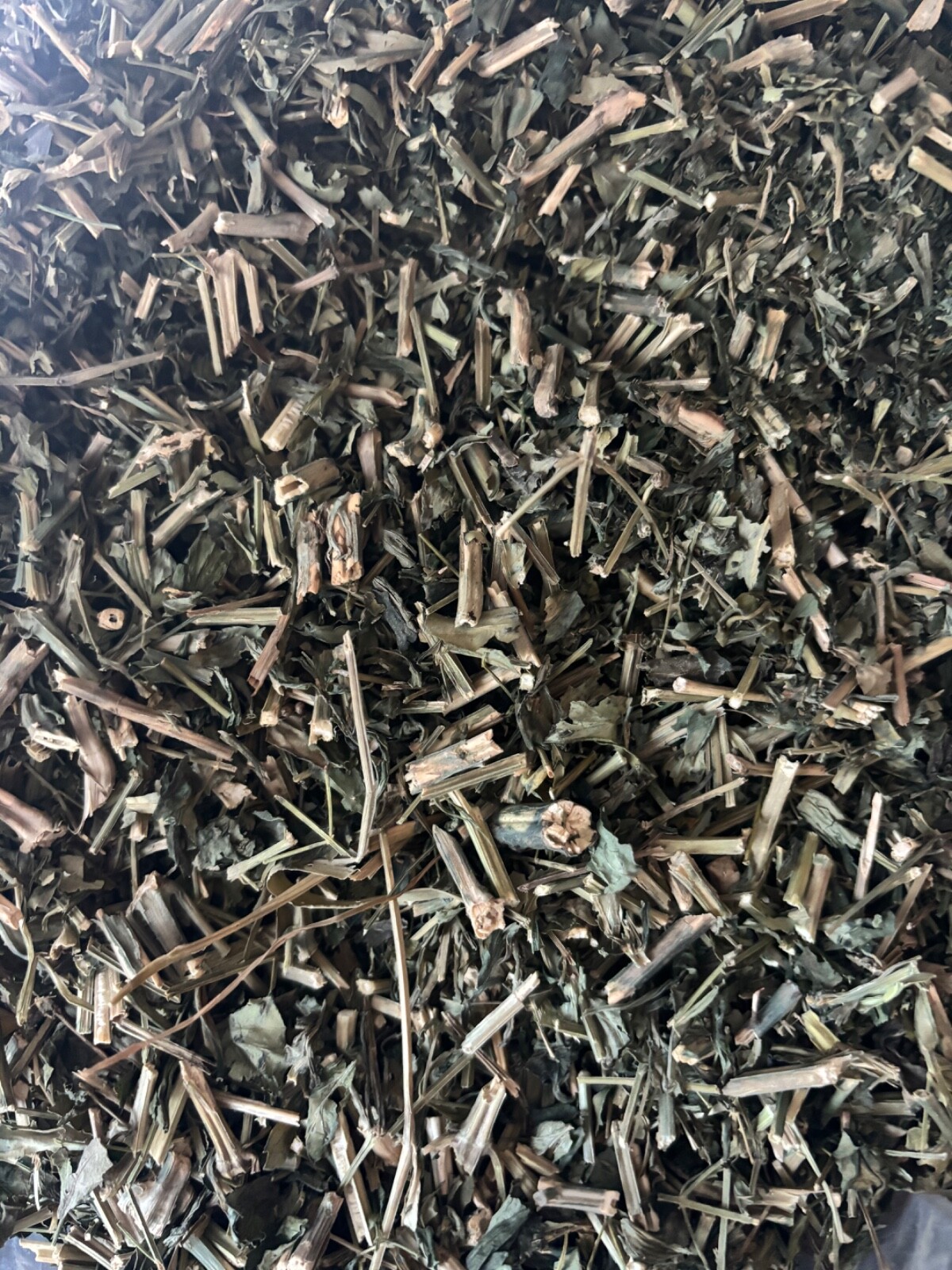 Andrographis Paniculata – 2 oz . King of Bitters High Quality Thailand Herb