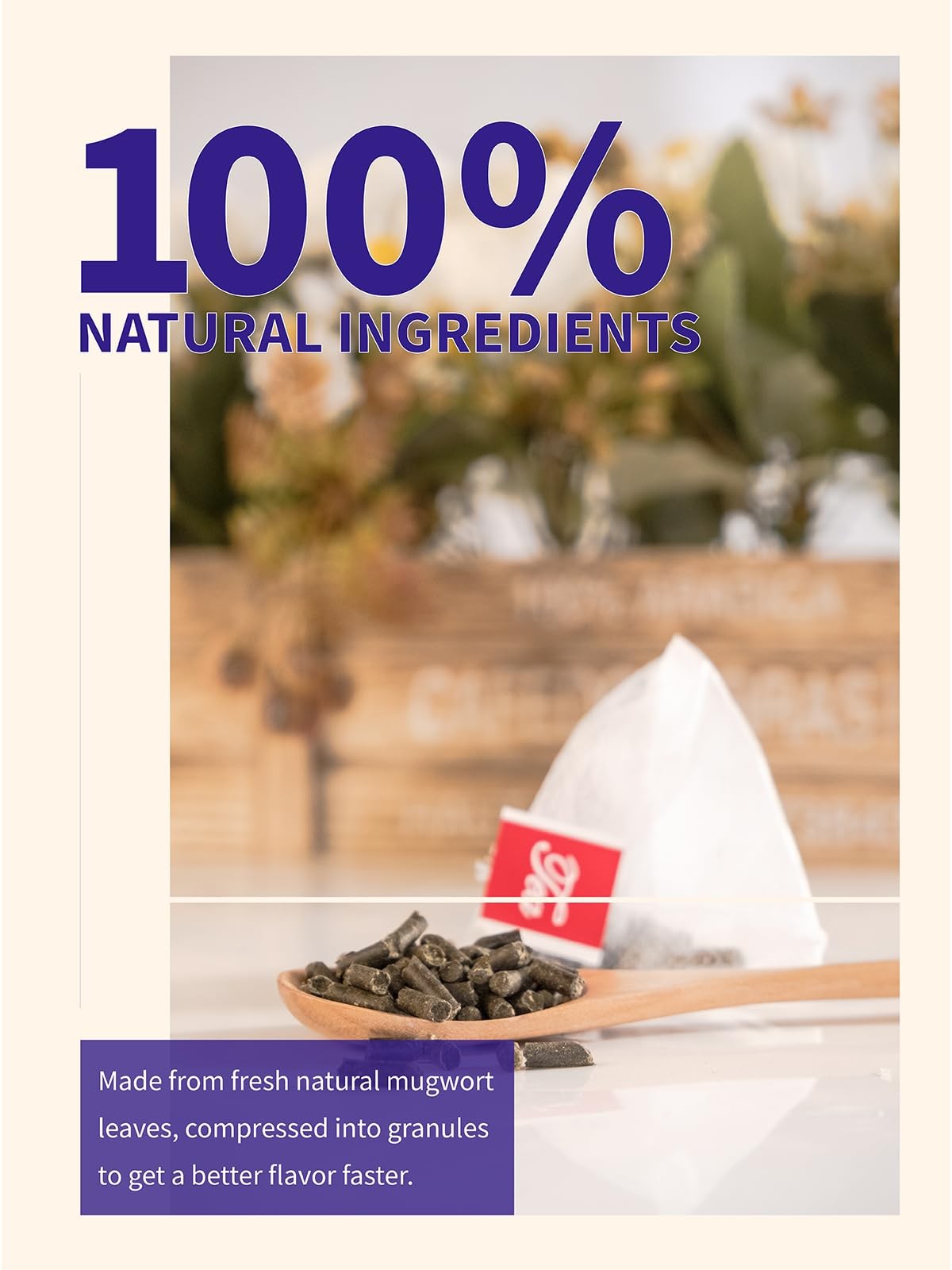 TeeLux Mugwort Tea Bags – Natural Dried Herb 40 Count (Pack of 1)