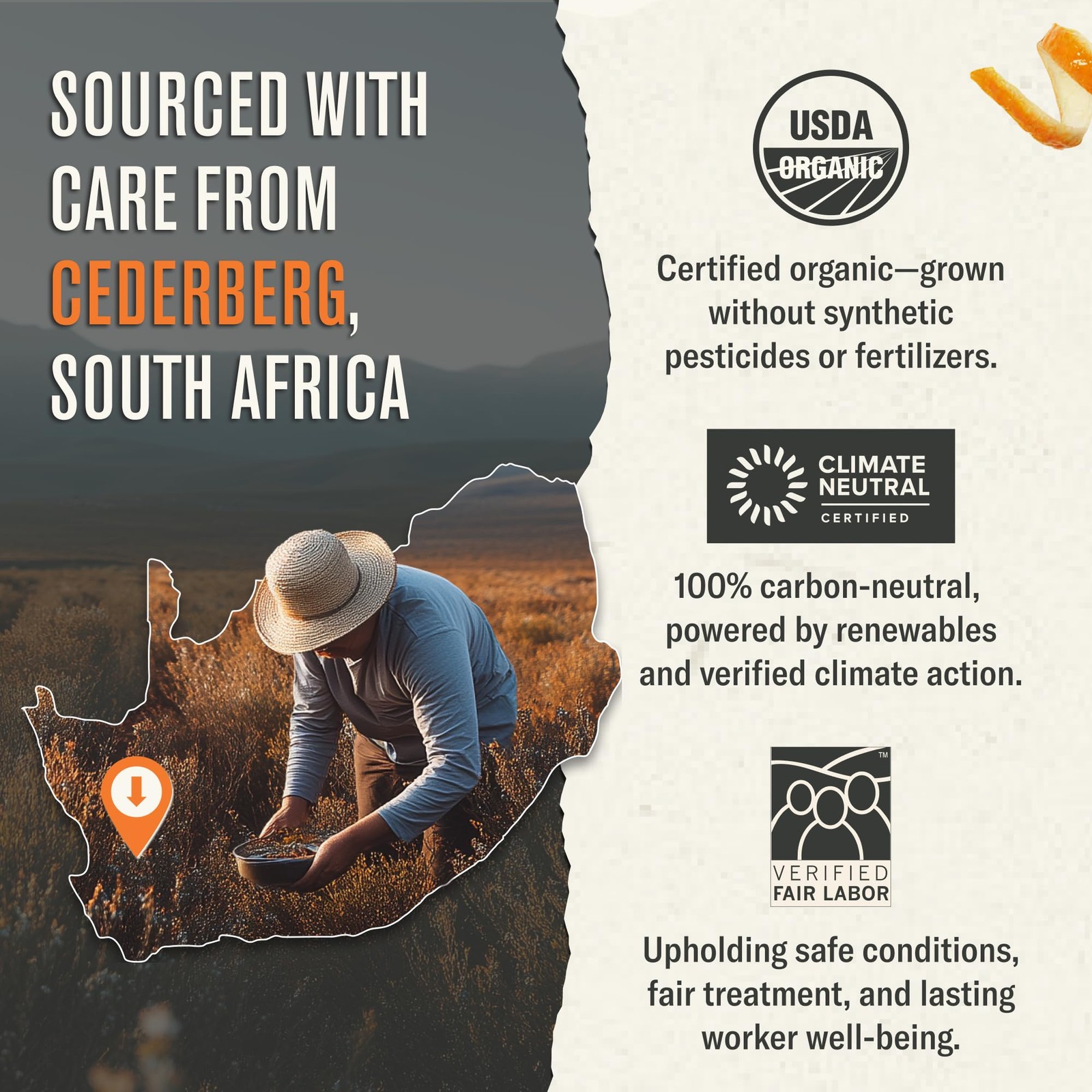Organic Rooibos Tea 54 Microplastic Free Bags Caffeine South African Red
