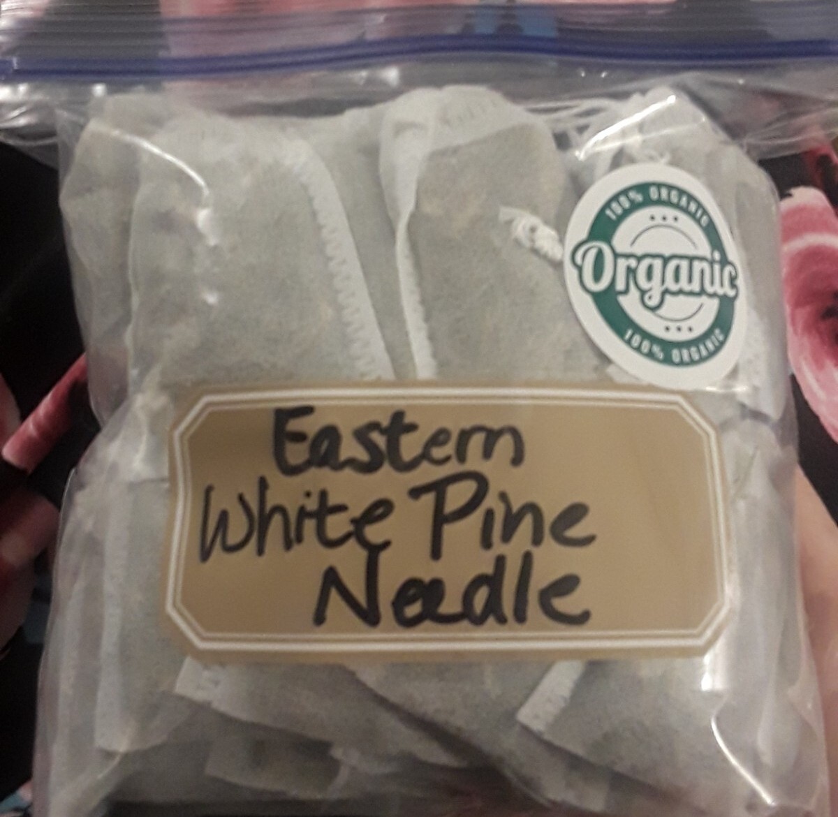 Lot: 200 Pc Organic Eastern White Pine Needle Tea Bags Fresh Harvest Tree Bag