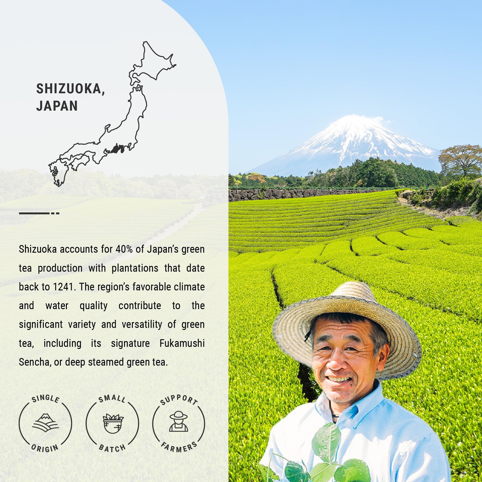 Senbird Premium Wakoucha Japanese Black Tea From Shizuoka, Japan Loose Lea…