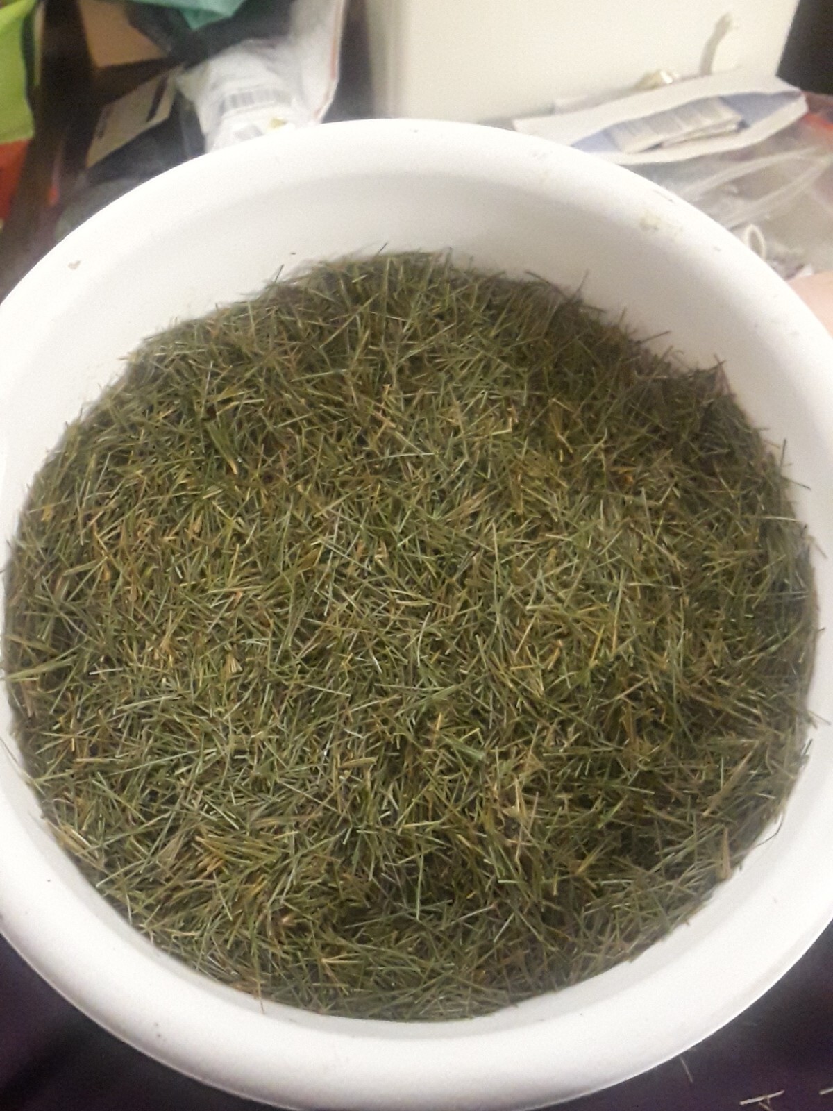 🌲Lot: 100 Pc Organic Eastern White Pine Needle Tea Bags Bag Tree Pinus Stronus