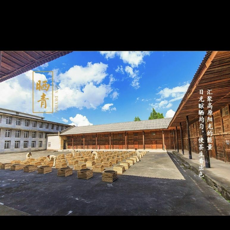 826 * 2014 Yunnan Long Run Tea Ripe Puer Tea Cake LinCang Old Tree Pu-erh 357g