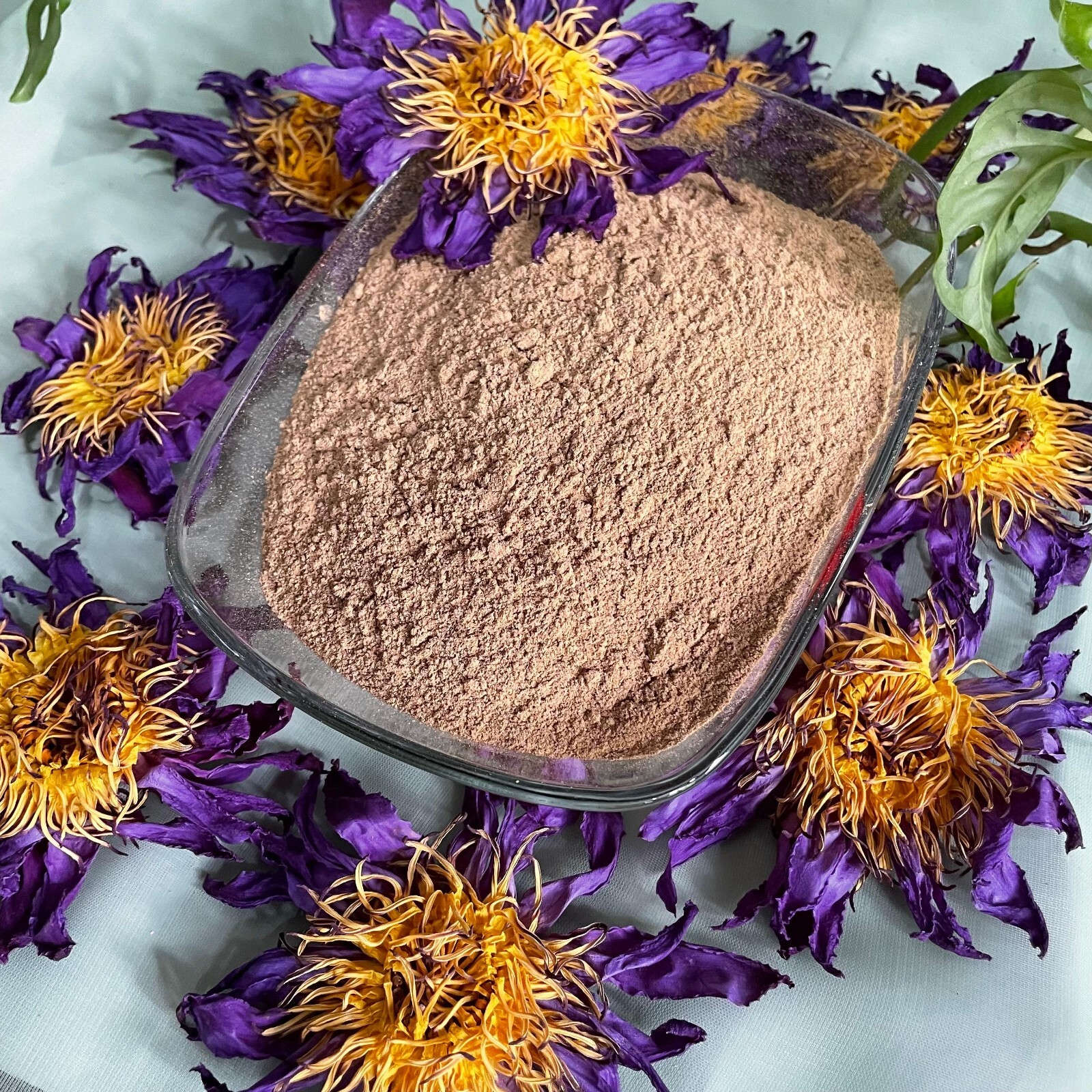 Blue Lotus nymphaea caerulea Flowers Powder 100% Organic Natural Pure Herbal Tea