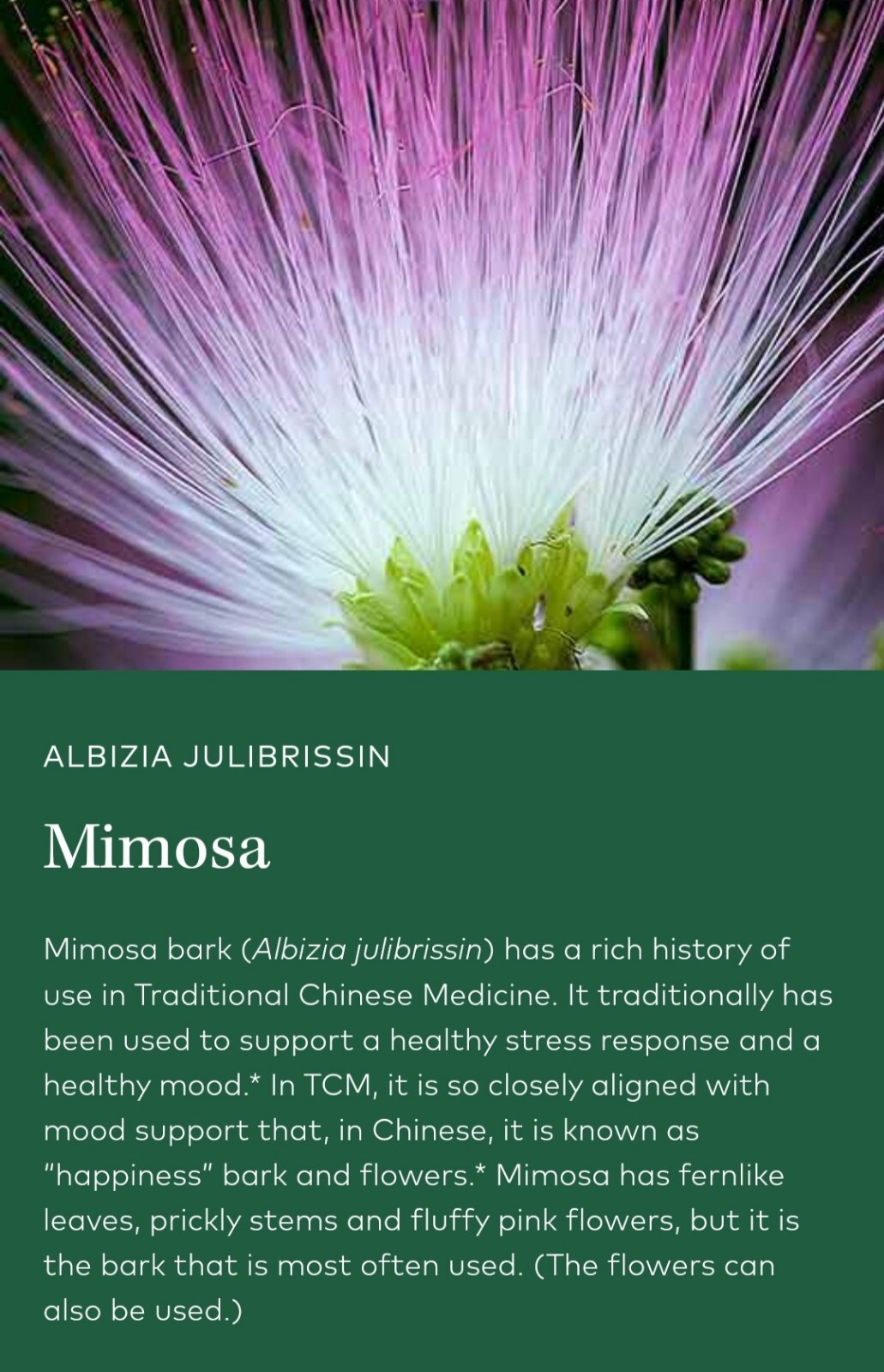 Albizia Julibrissin Mimosa Flower Dried Pink Blossoms Tea Herb Brew Organic