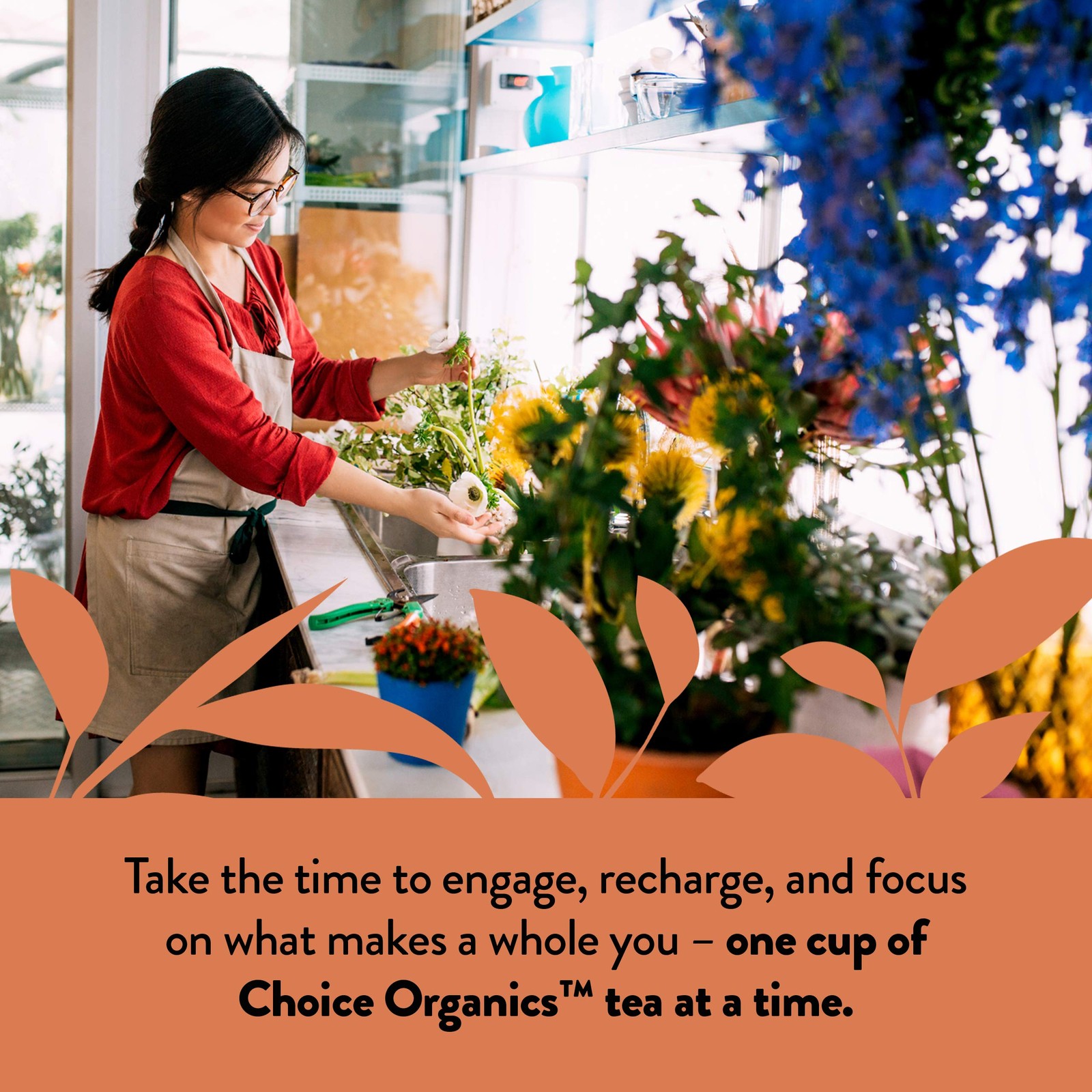 Choice Organics – Organic Oolong Tea (6 Pack) – Fair Trade – Compostable – Conta