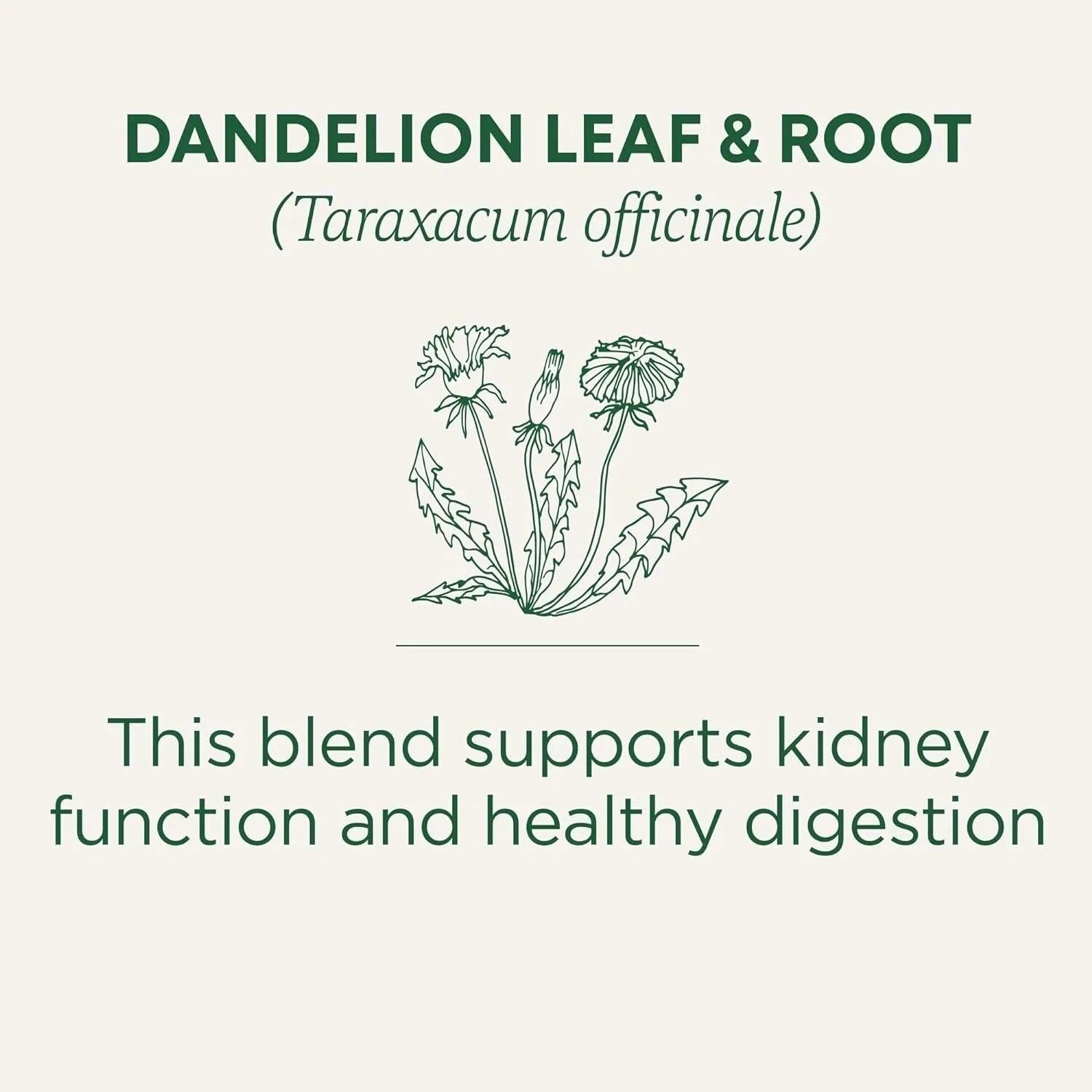 Dandelion Leaf & Root Tea 16 Bag | Ebay