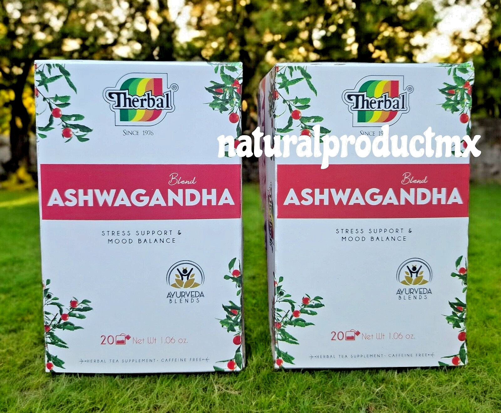 2 Boxes Te de Ashwagandha Tea Therbal Herbal Tea 40 Tea Bags Free Shipping