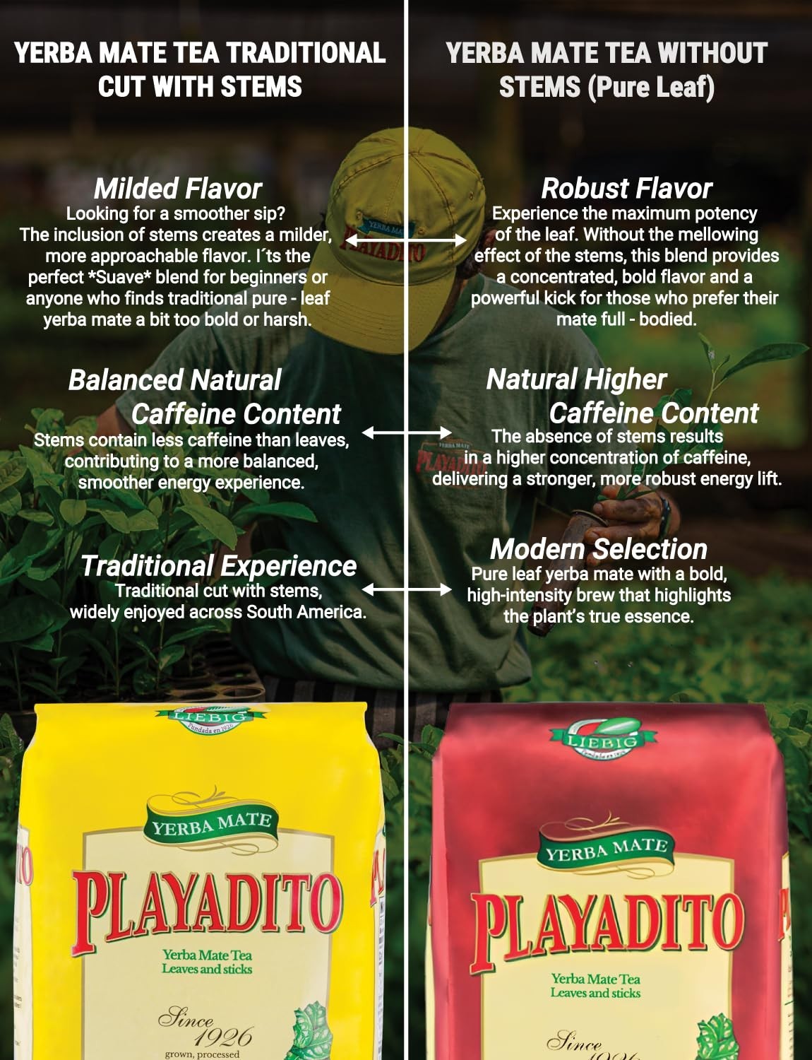 Circle of Drink Yerba Mate Bundle – 35.27oz