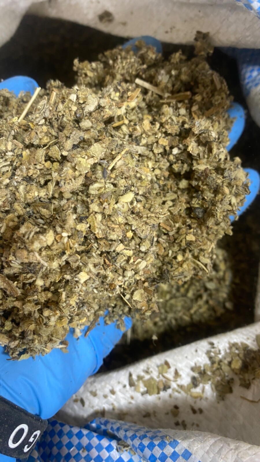 Mullein Leaf Herb – organic medicinal healing lung cut botanical – 3/4 LB Pound
