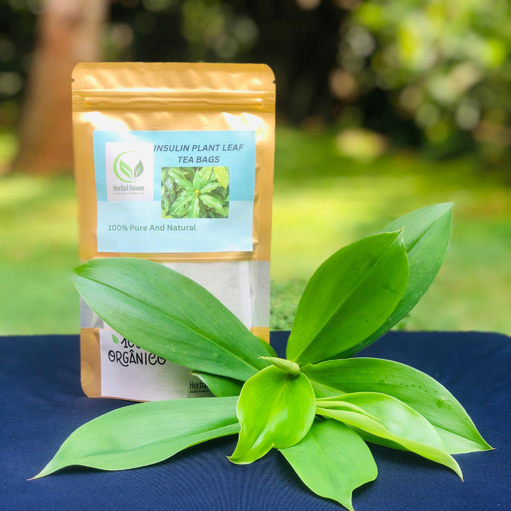 Organic Insulin Plant Leaf Tea Bags Herbal Drinks Costus Igneus leaves Powder