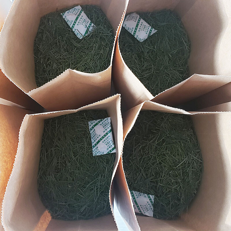 Pine Needle Tea – 100% Pure Natural Dried Masson Pine Needles Herbal Tea