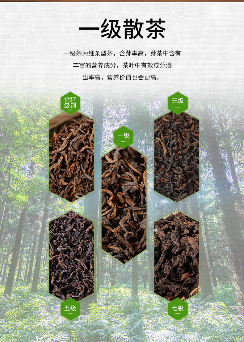 2018 YUNNAN LAO TONG ZHI PU’ER TEA First Grade Haiwan Ripe Puer Loose Tea 250g