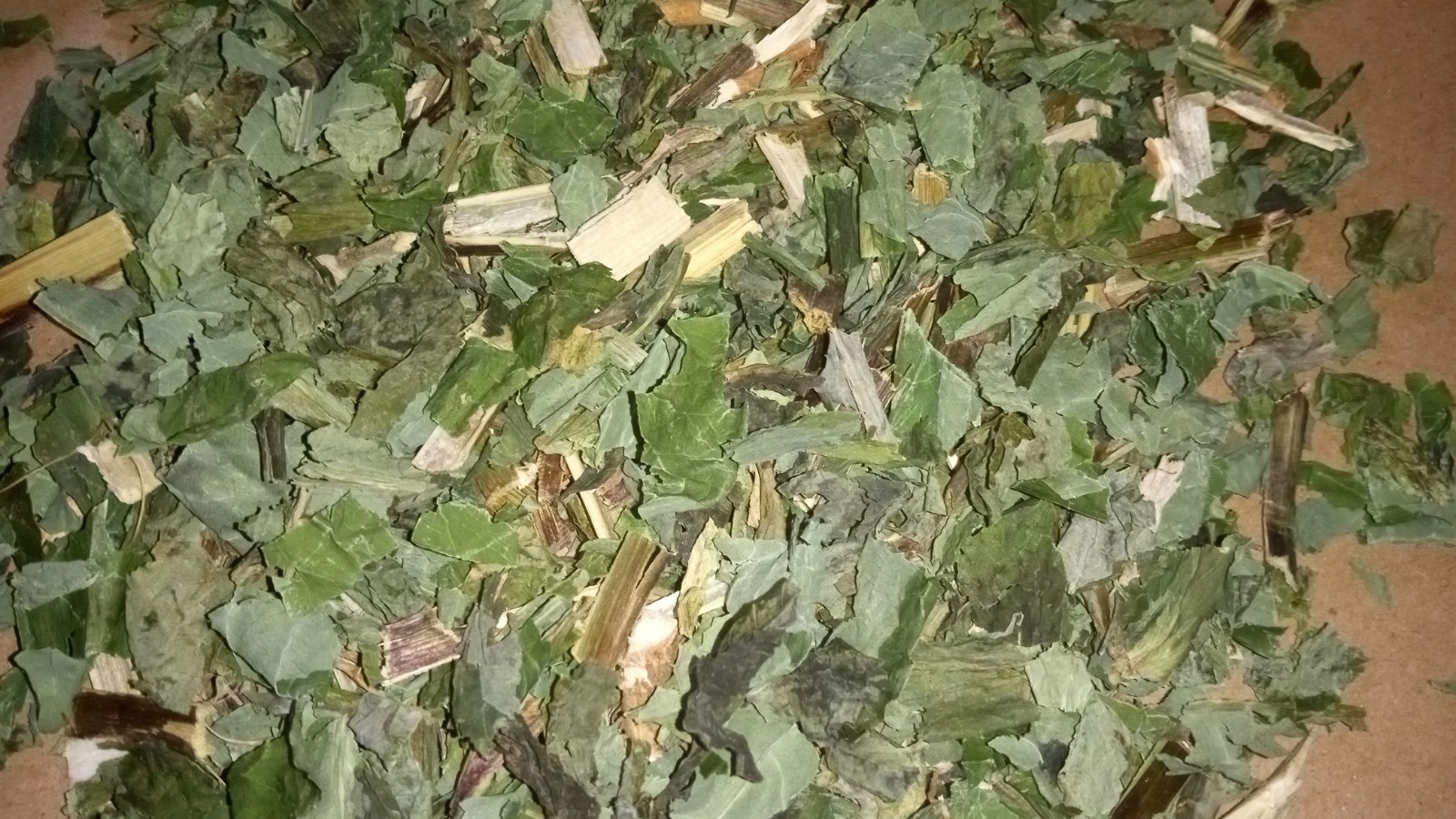 1 Cup Dried Wild Lettuce Whole Plant(Lactuca Virosa)For Tea or Tincture.US grown