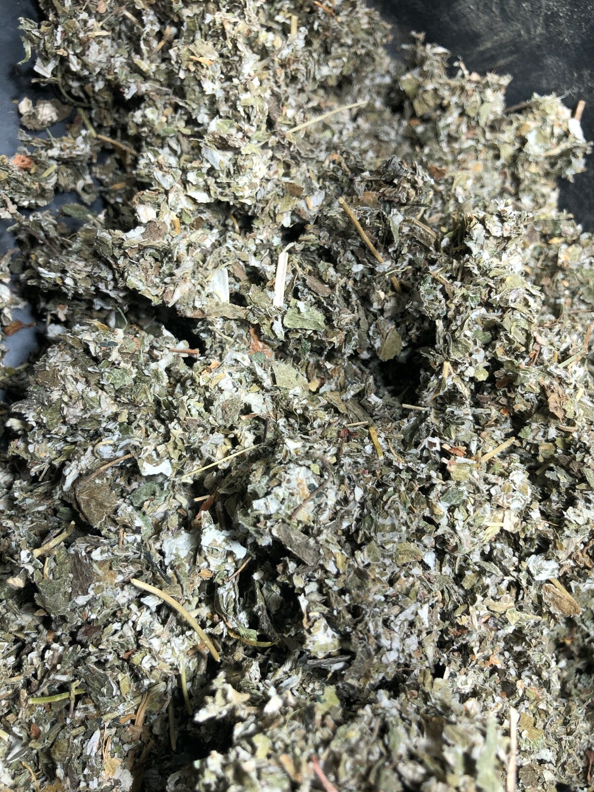 Organic Red Raspberry Leaf Wild Crafted Cut Bulk Herb Rubus Idaeus ounce pound