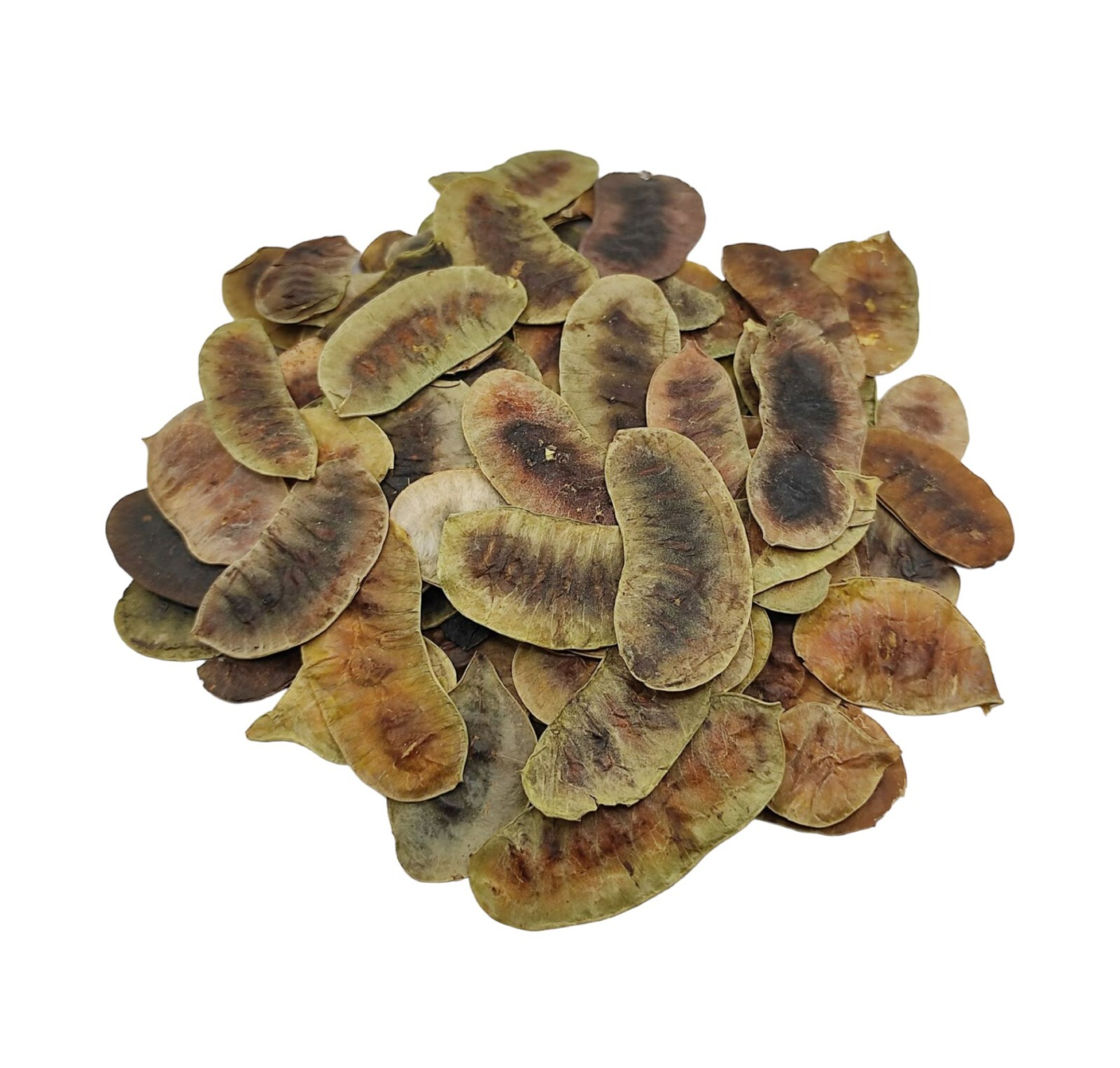 Dried Senna Pods Herbal Tea 220 g (7.8oz) – Premium Quality | Senna Alexandrina