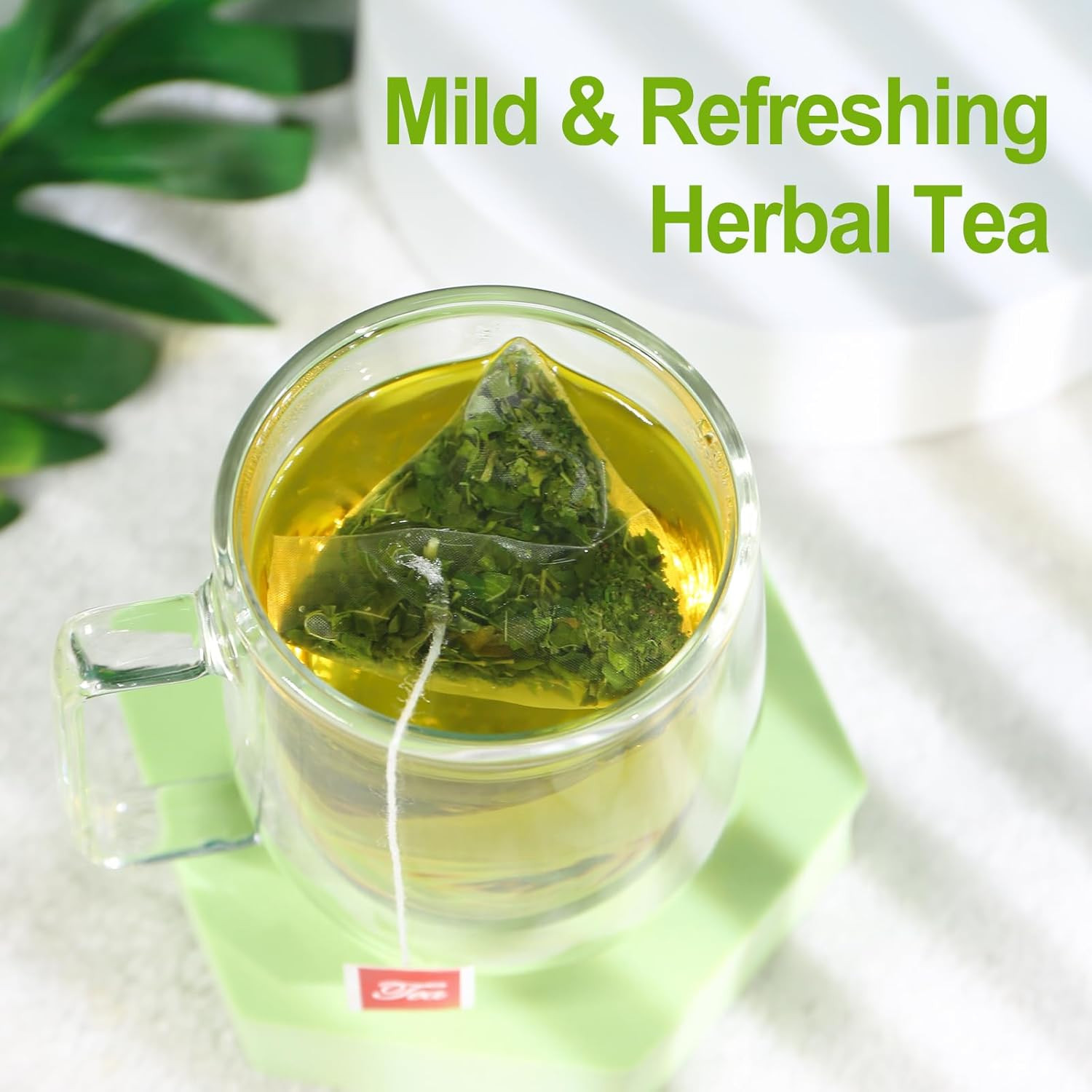– Moringa Tea, 50 Teabags – Pure & Natural Moringa Leaves, Cultivated from India
