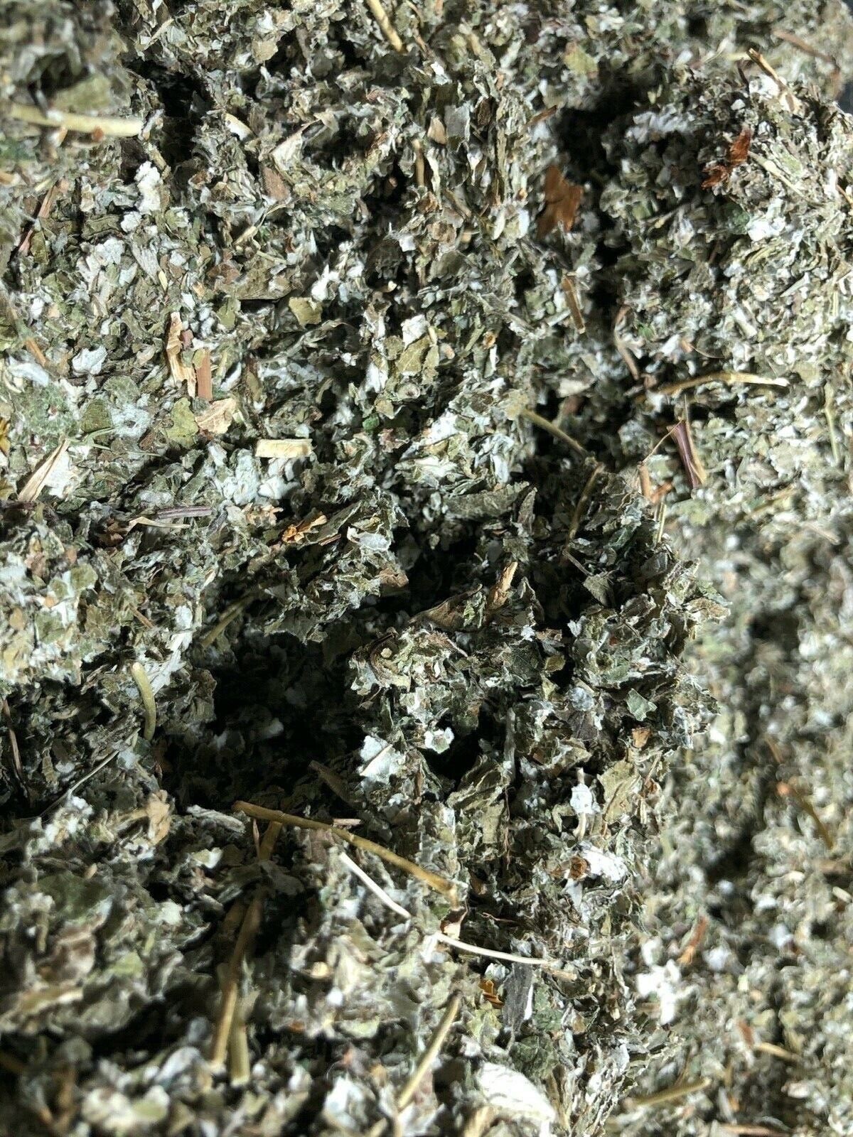 Raspberry Tea Leaf – 1/2 pounds Spice Discounters Organic Bulk Herbs Since 1990!