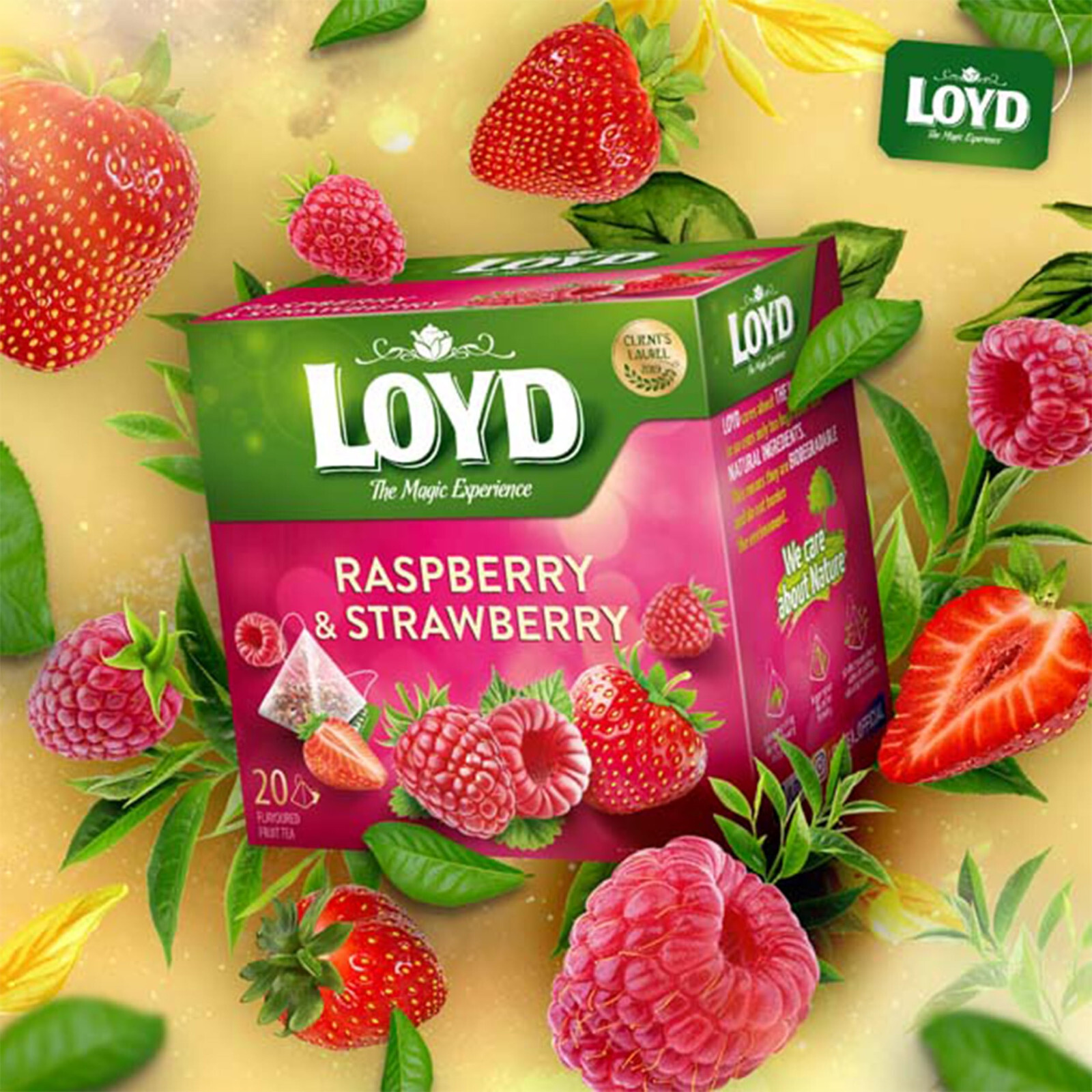 6 LOYD RASPBERRY & STRAWBERRY Flavor Fruit Tea 50 Pyramid Teabags Boxes 100g