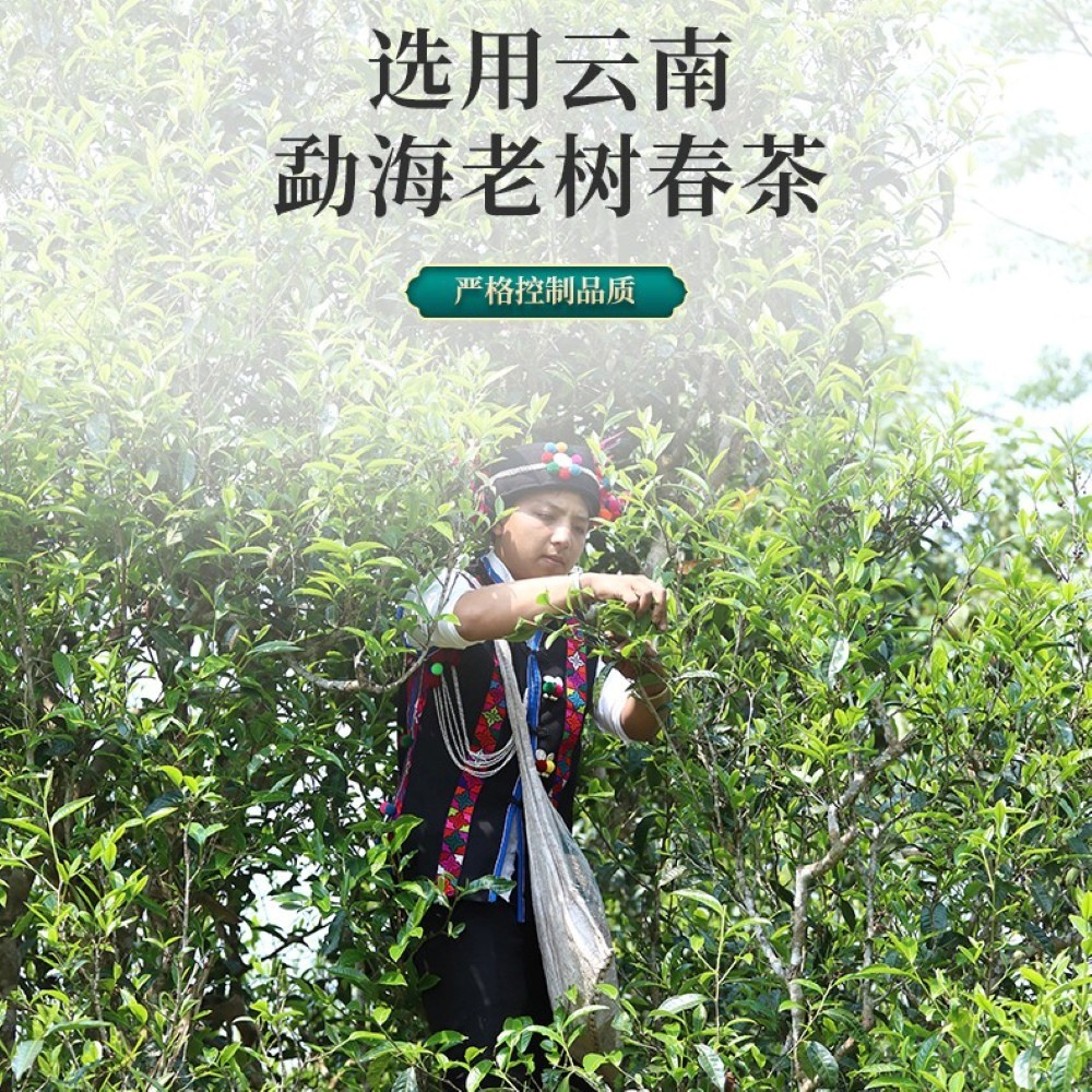 Bafang Tea Garden Imperial Collection Ripe Pu-Erh Tea 2019 – 357g