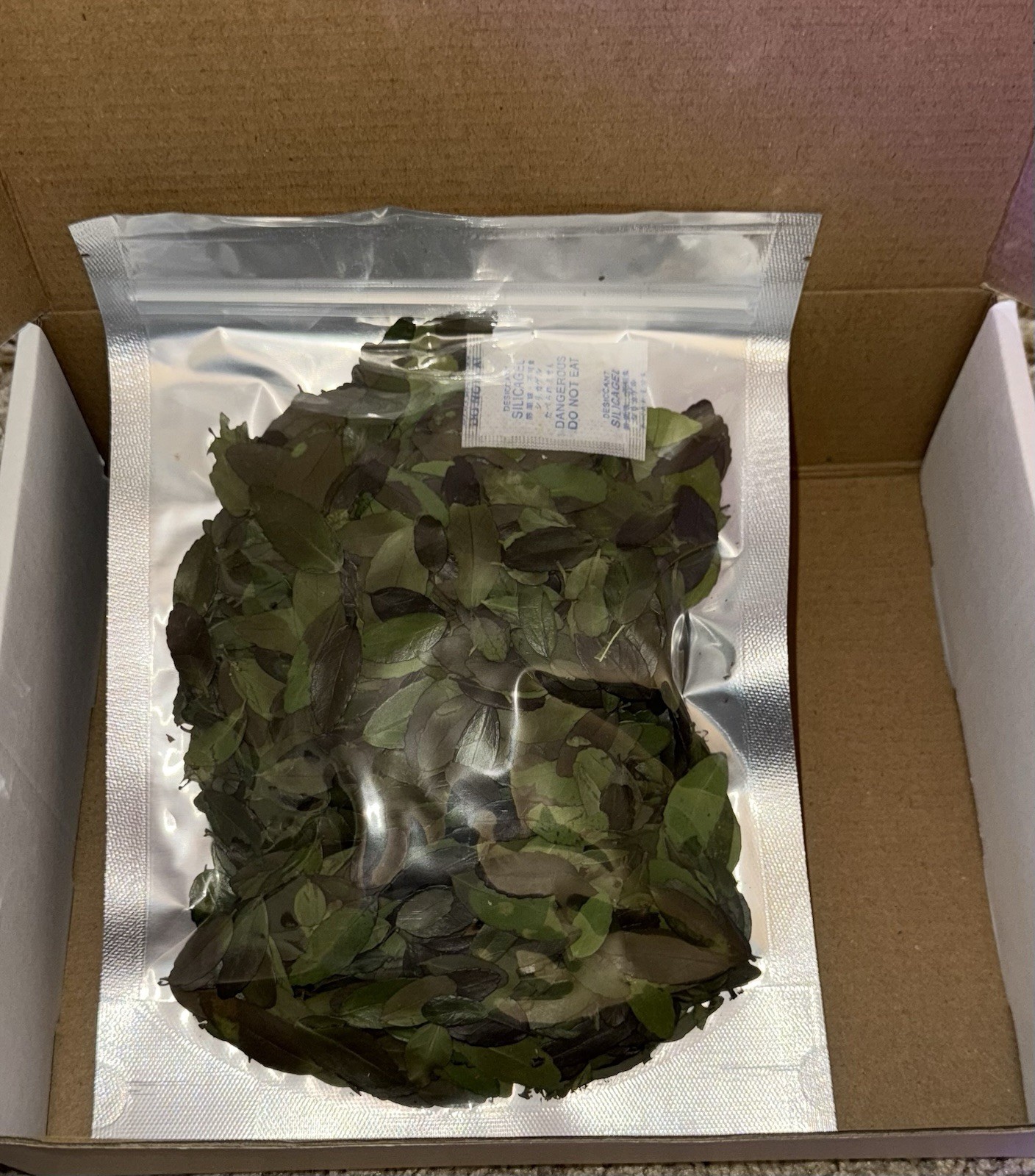 Wild-Foraged Yaupon Holly Leaves 4oz 100% Natural & Clean Dehydrated Caffeine