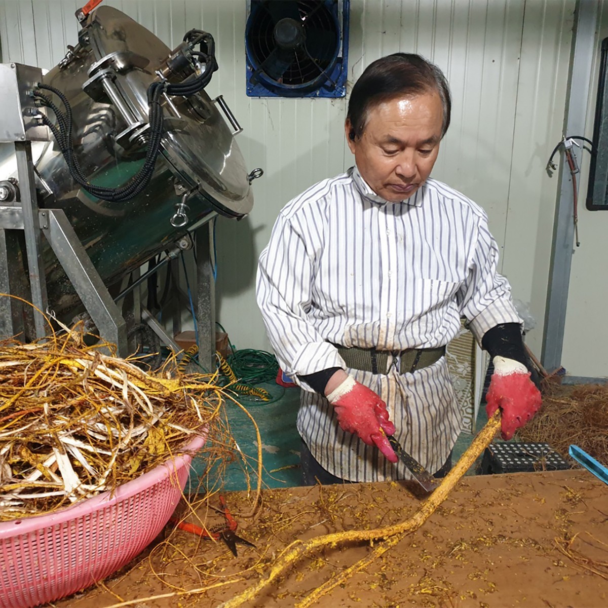 Korean Mulberry Root Bark Tea 150g (5.29oz), Roasted Loose Leaf, Earthy Flavor