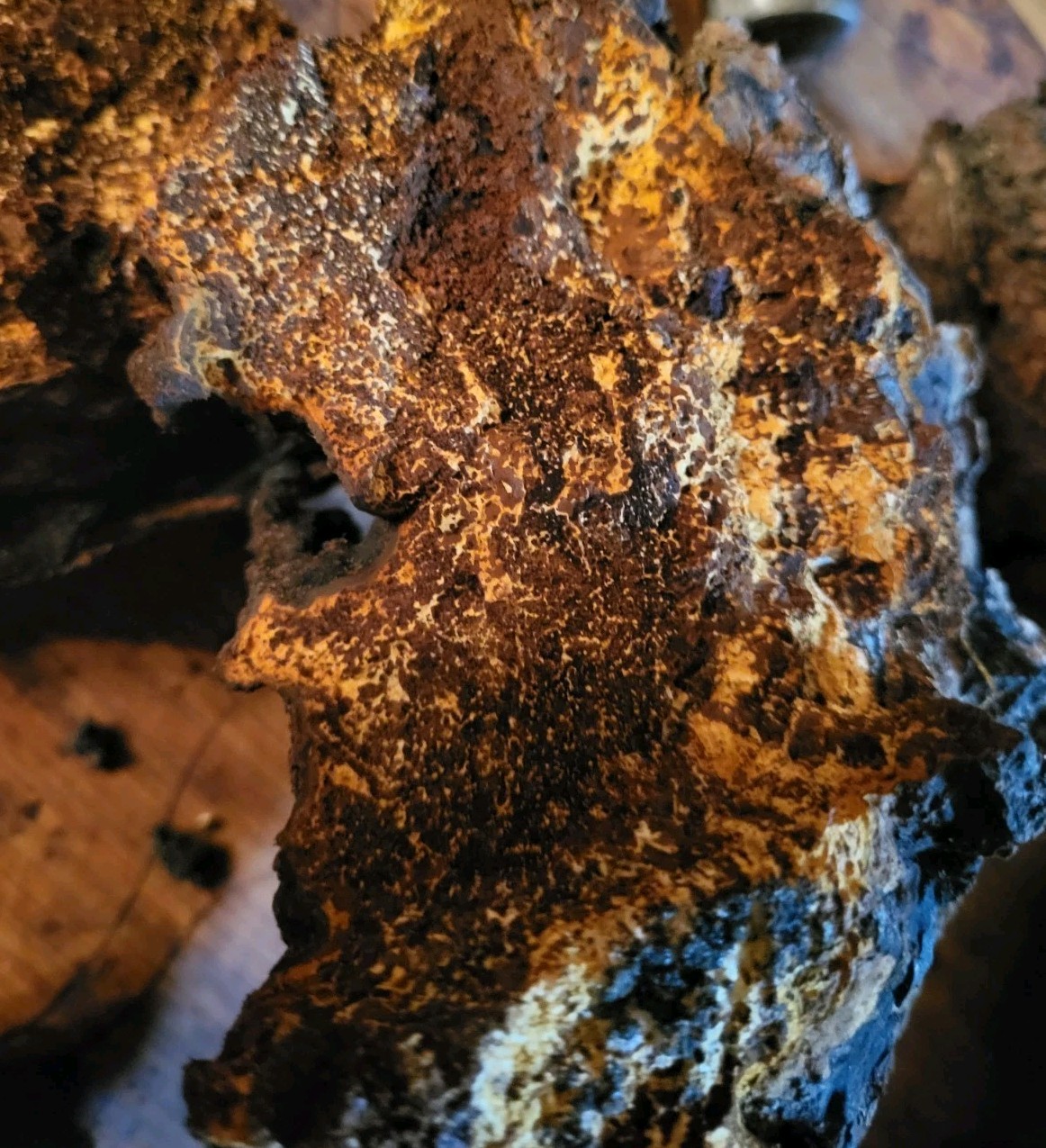 5 Oz CHAGA coarse ground Fresh. Delish.
