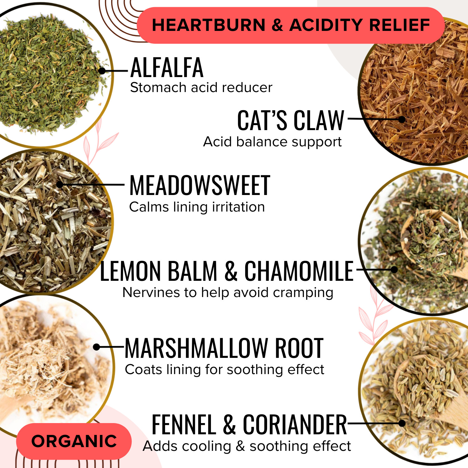No more ACIDITY TEA – Reduces stomach inflammation, heartburn , GERD & acidity