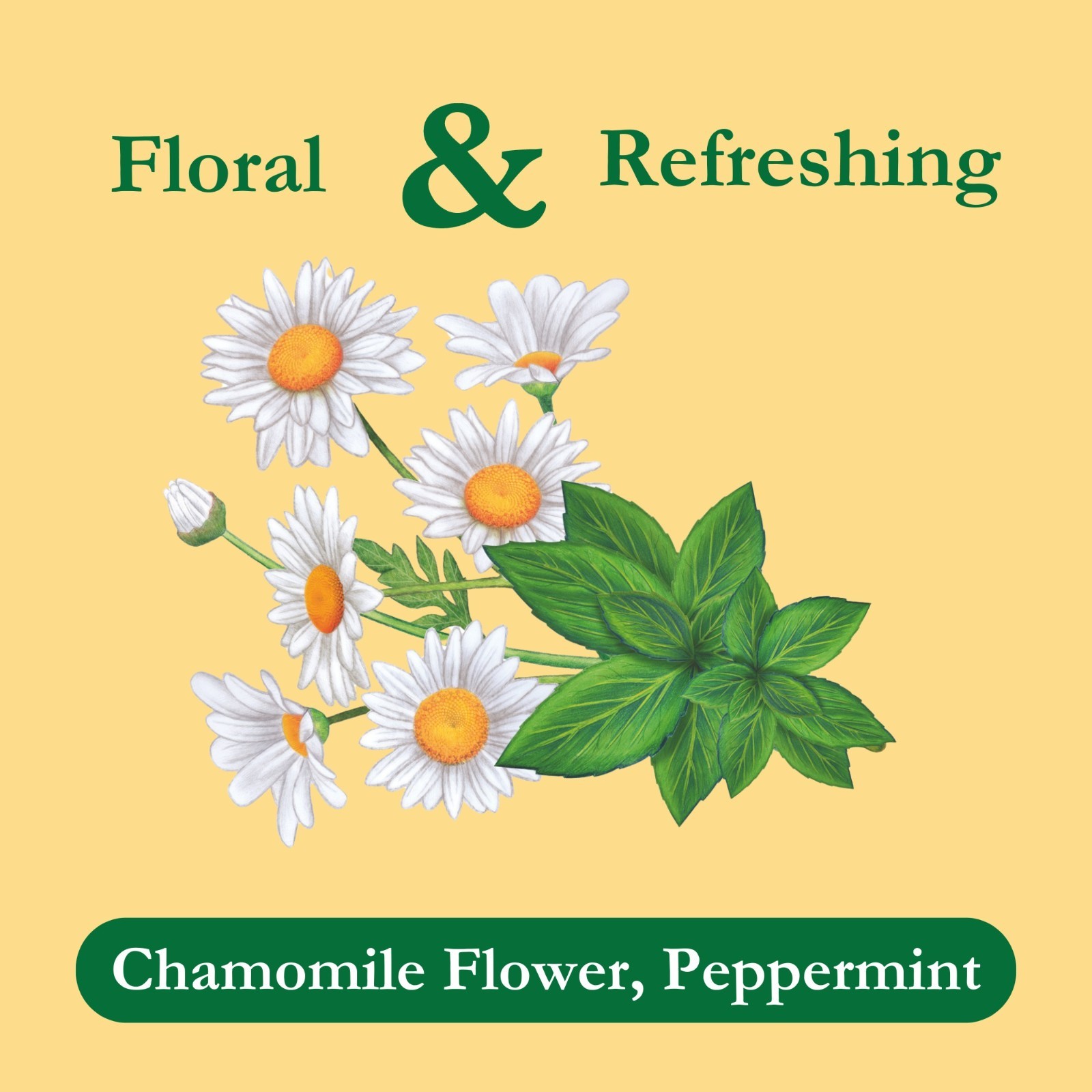 TADIN Chamomile Mint Tea Bags Floral Refreshing Herbal Tea 24 bags/box