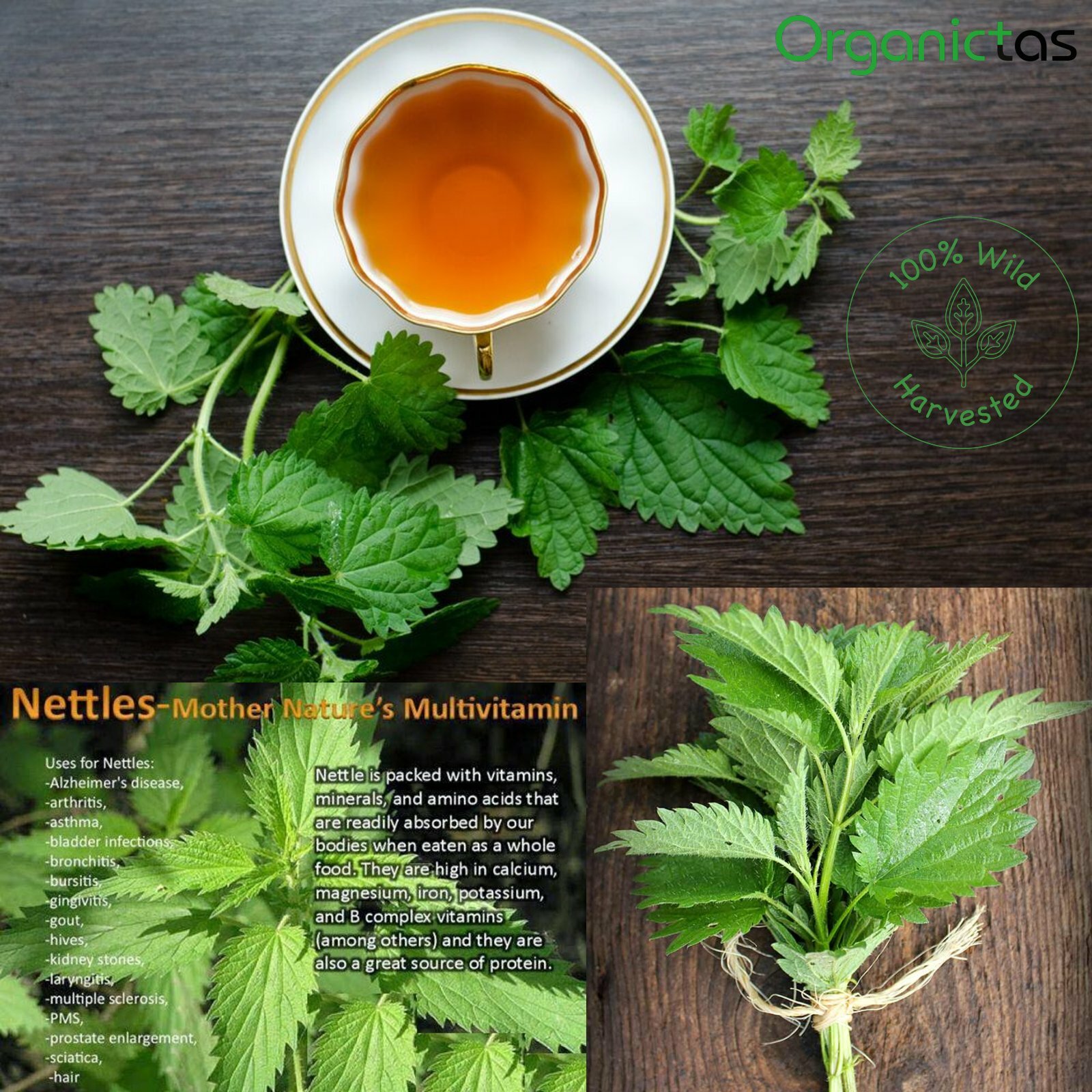 Organic Stinging Nettle Leaves Tea Dried Wild Harvested Urtica Dioica Bulgaria