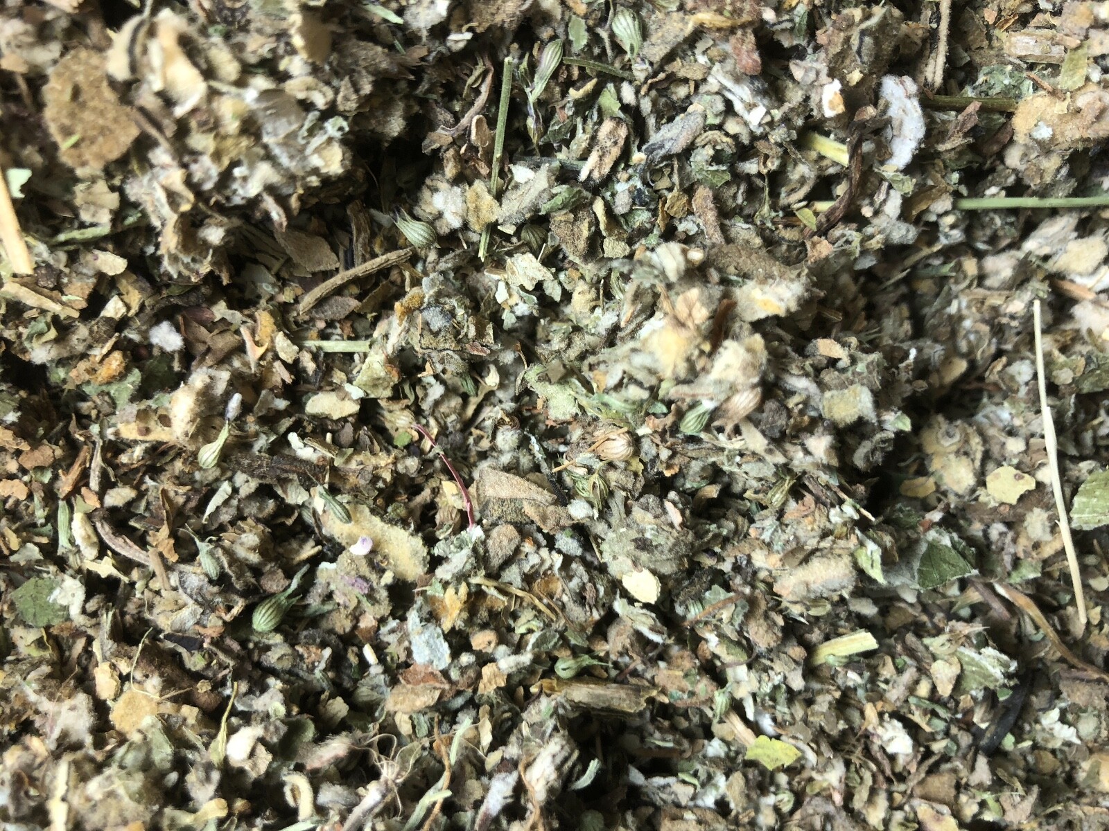No.23 Mix Organic Osha Root Lobelia Mullein Coltsfoot Catnip Raspberry Spearmint