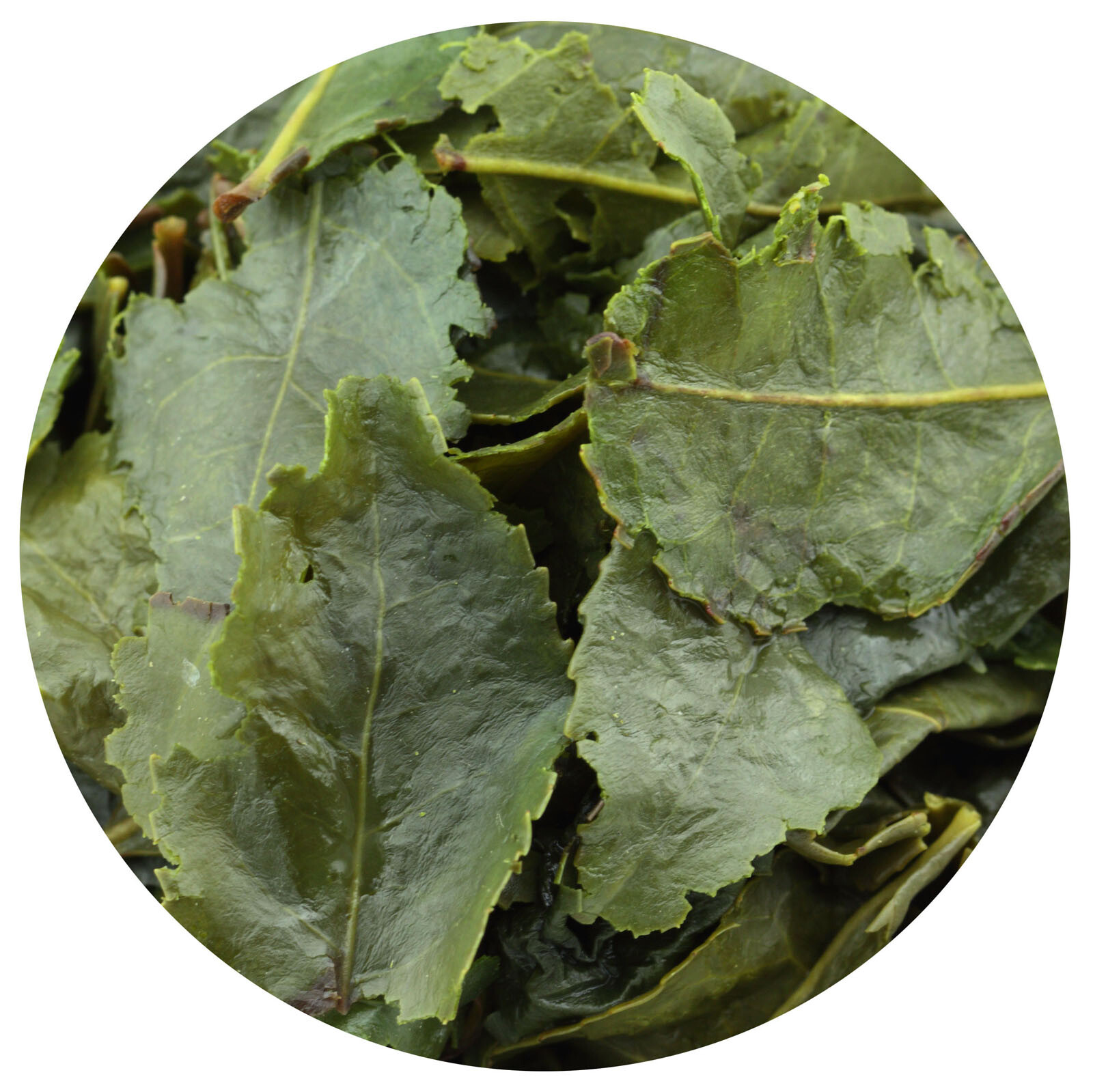 GOARTEA Supreme Tie Guan Yin Oolong Tea Fujian Anxi High Mountain Iron Goddess