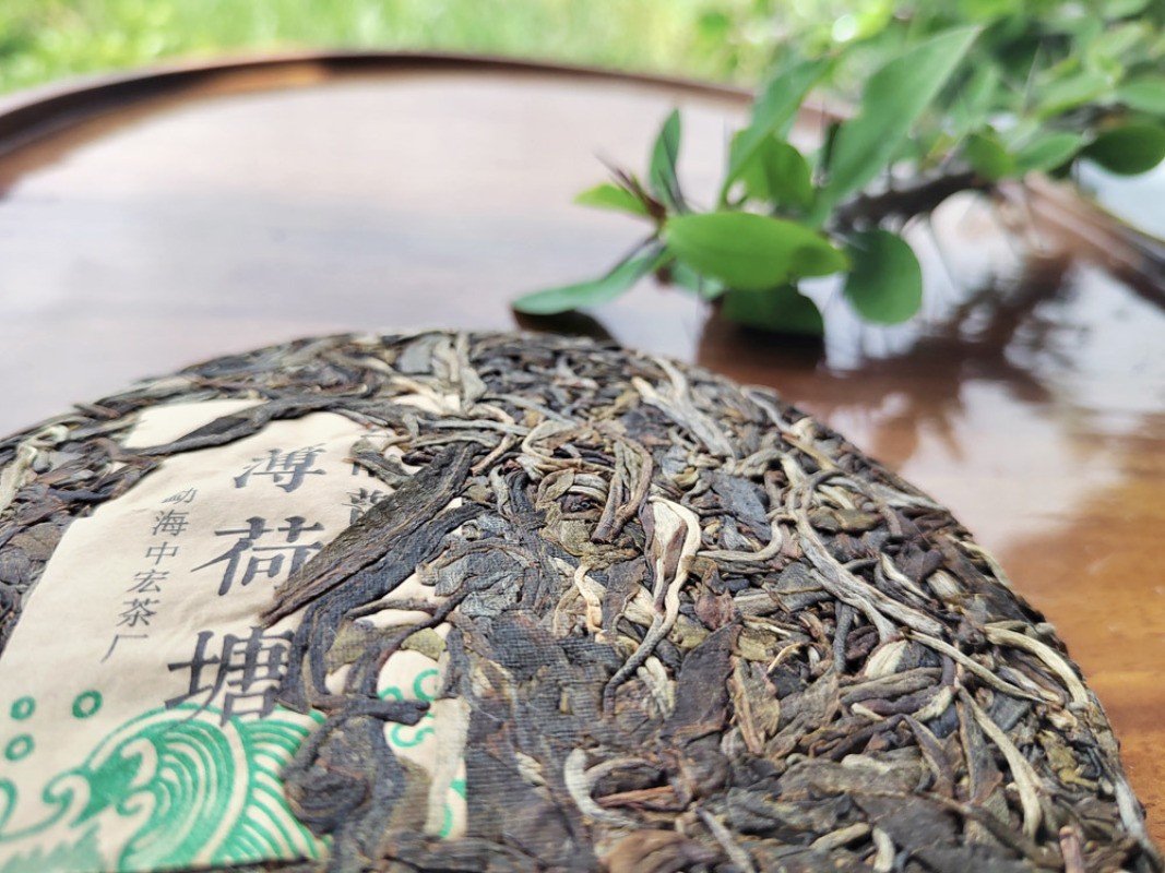 200g Spring Tea Yi Wu Mint Pond Ancient Tree Tea 2021 Raw Tea Pu’er Tea Cake