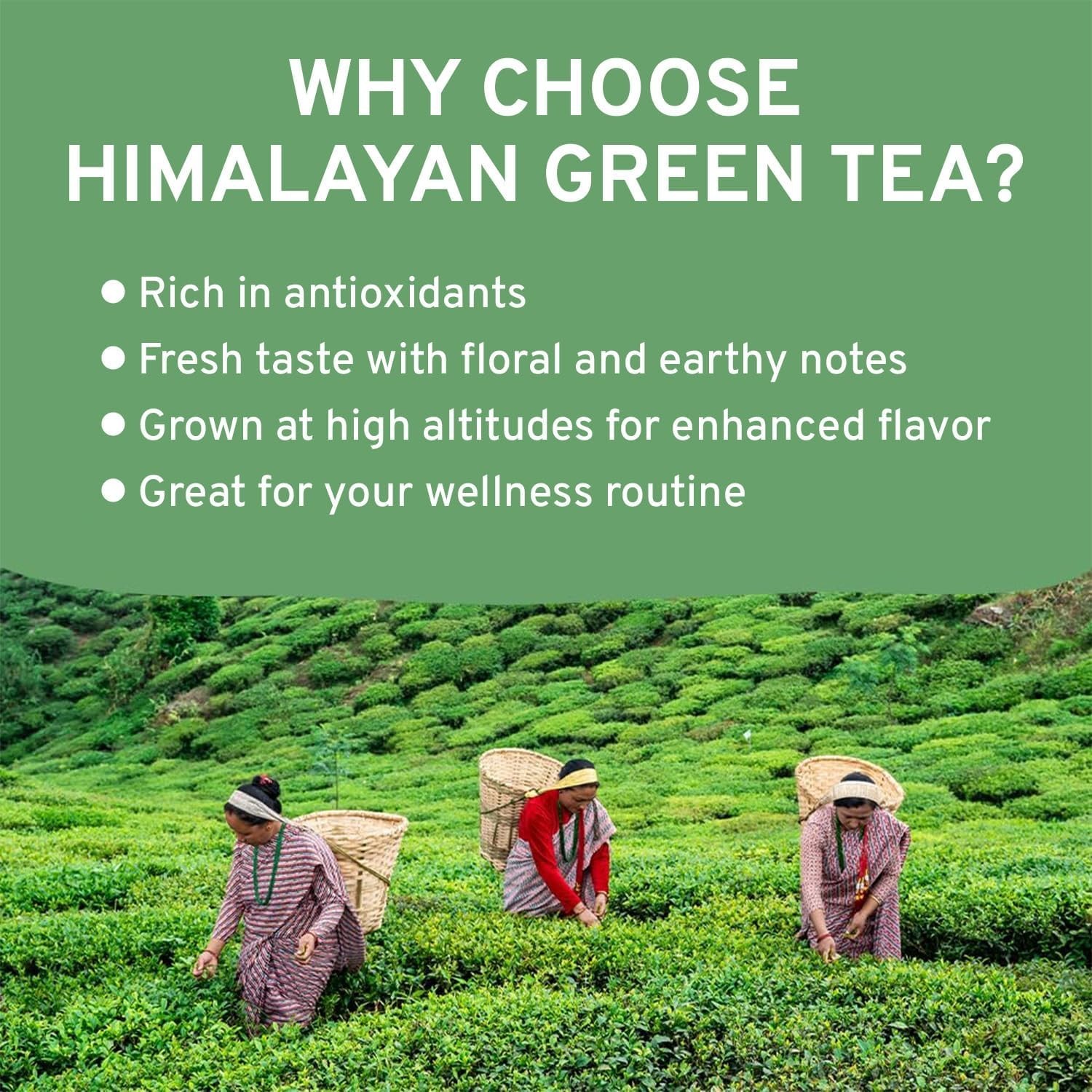 Organic Himalayan Green Loose Leaf Tea | 50+ Cups | 3.53 Oz Quality