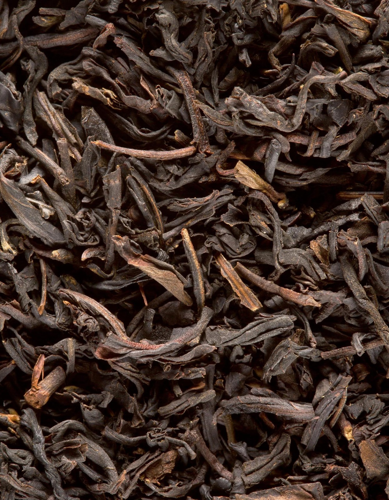 Dammann Freres Sachets, Darjeeling Tea Bags, Premium Gourmet French Black Tea…